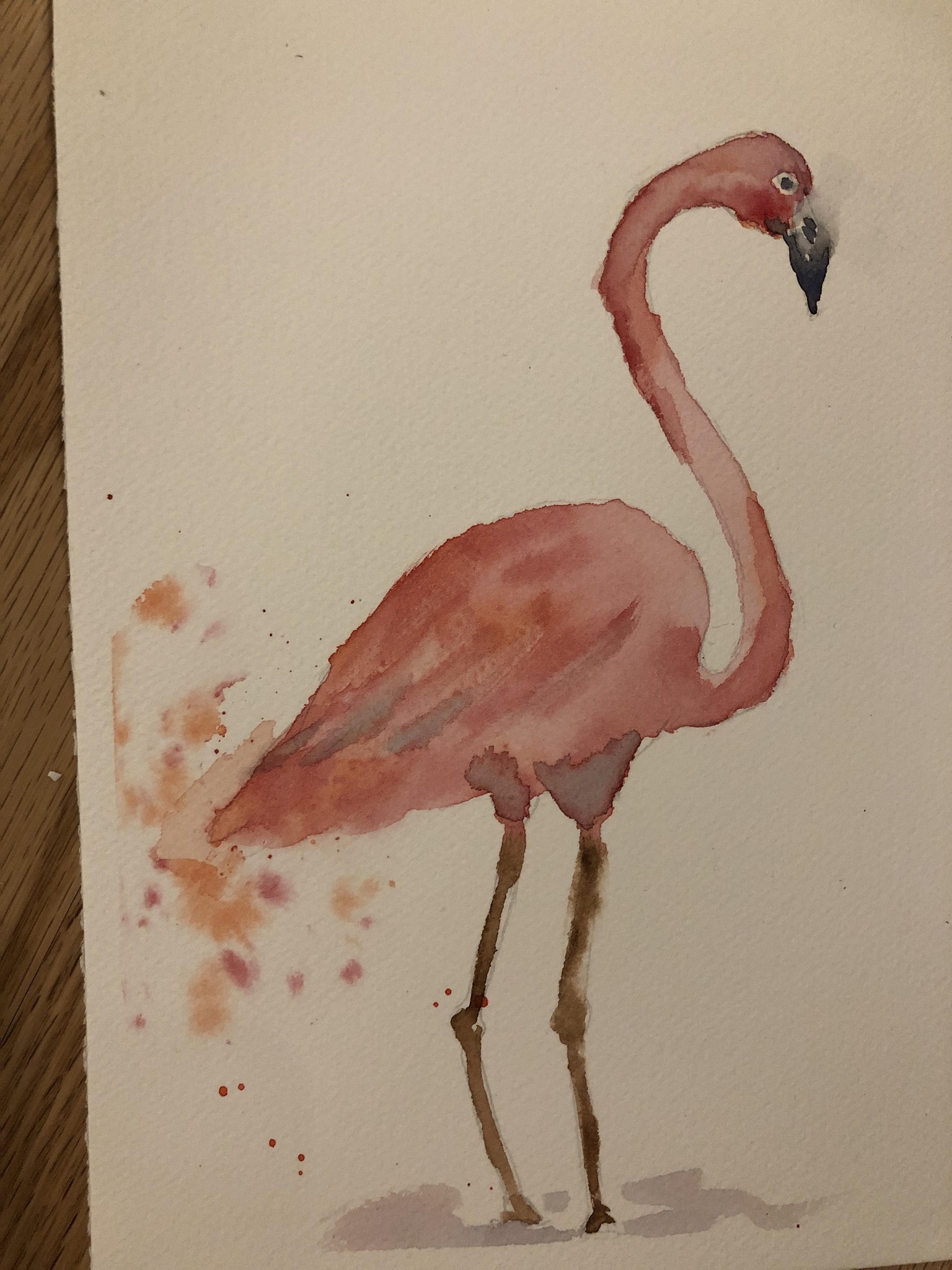 Flamingos, 6 different styles - image 2 - student project