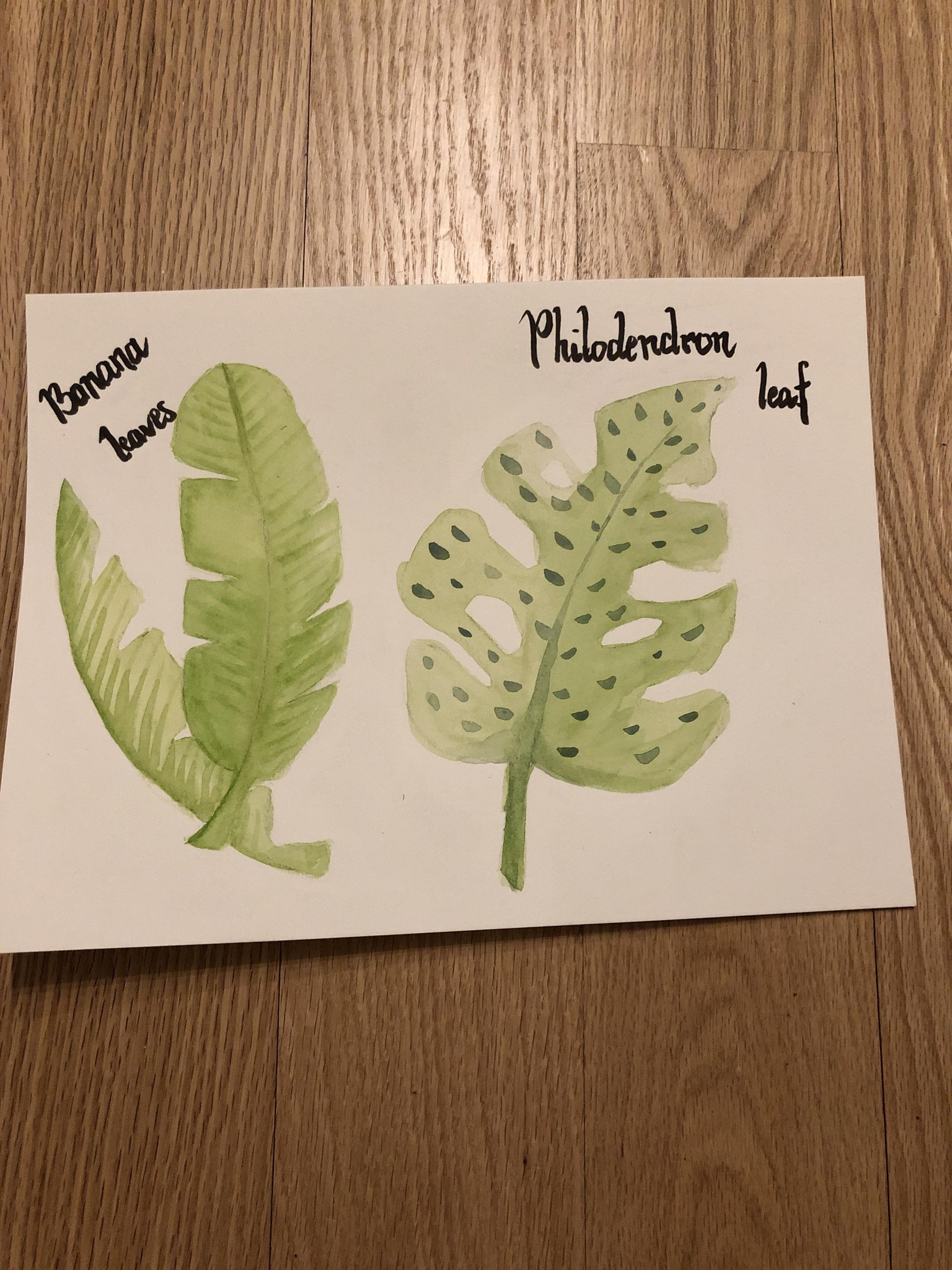 Tropical leaves - image 2 - student project