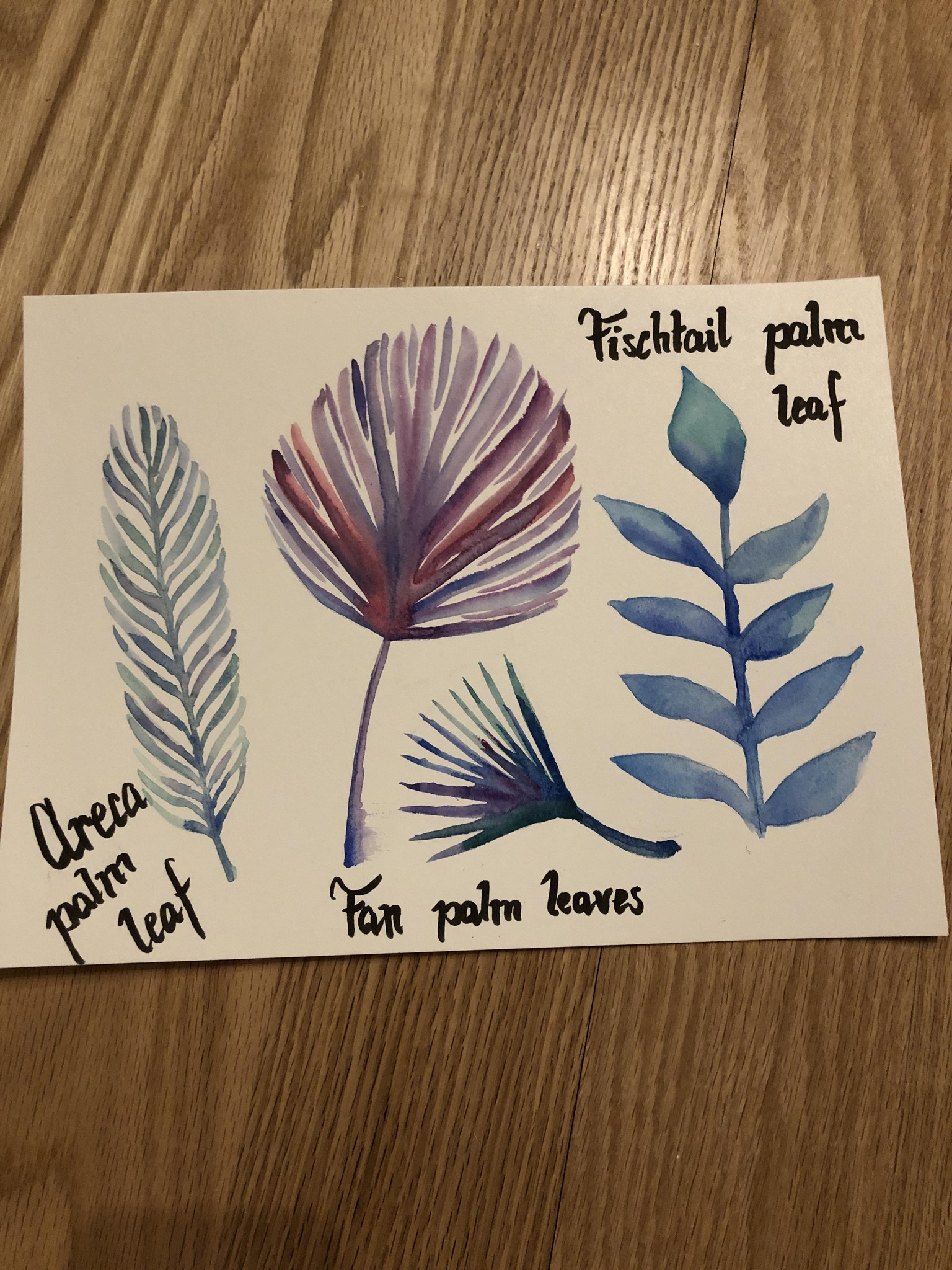 Tropical leaves - image 1 - student project