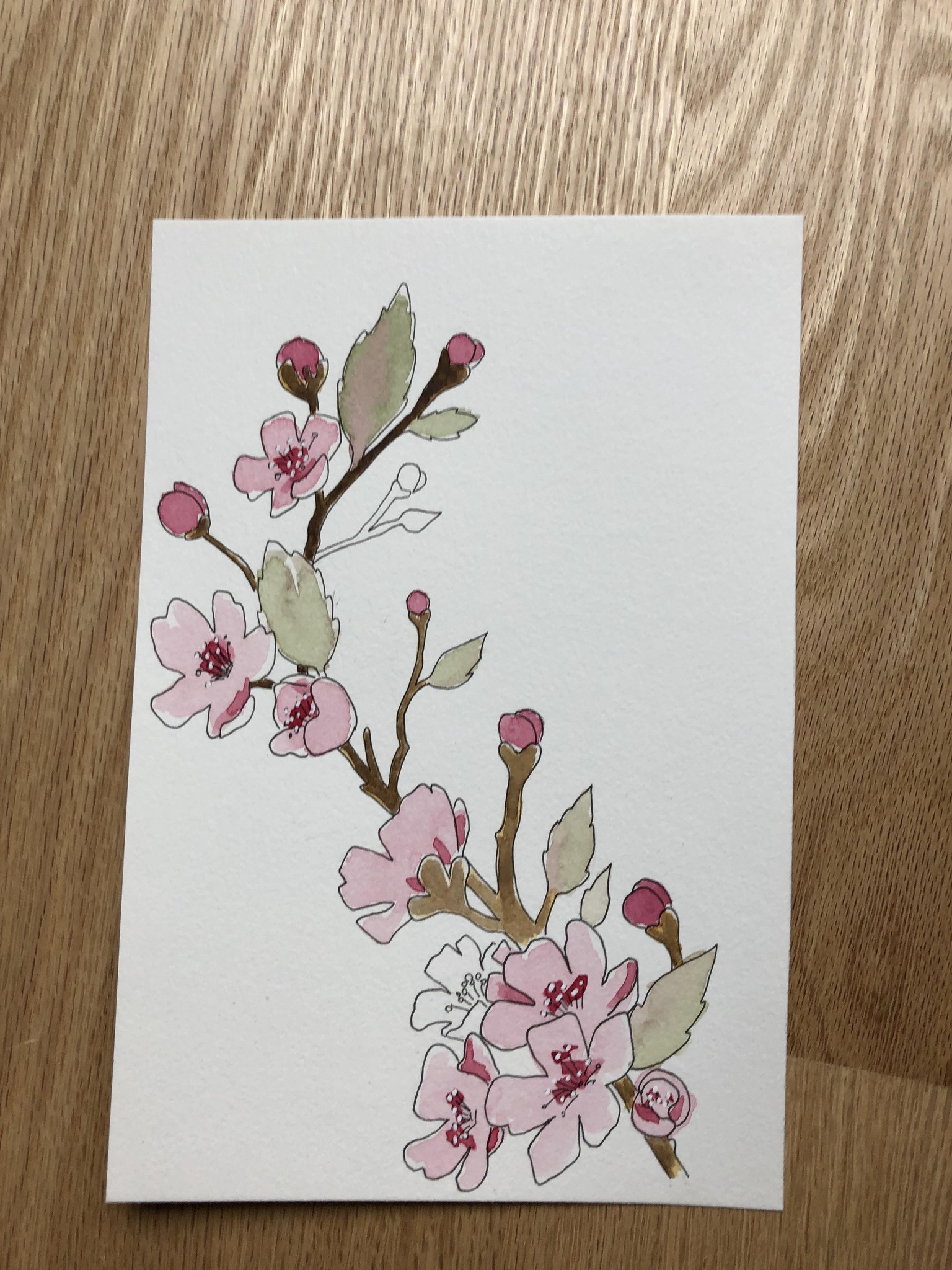 Cherry blossom - image 1 - student project