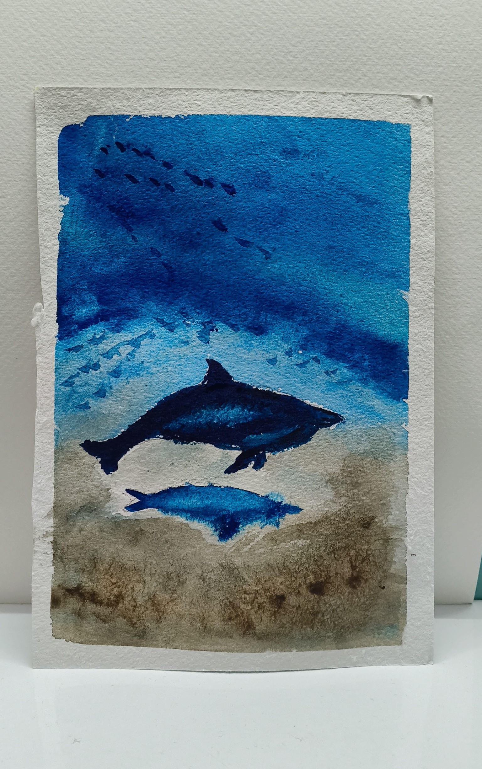 Underwater dolphin - image 3 - student project