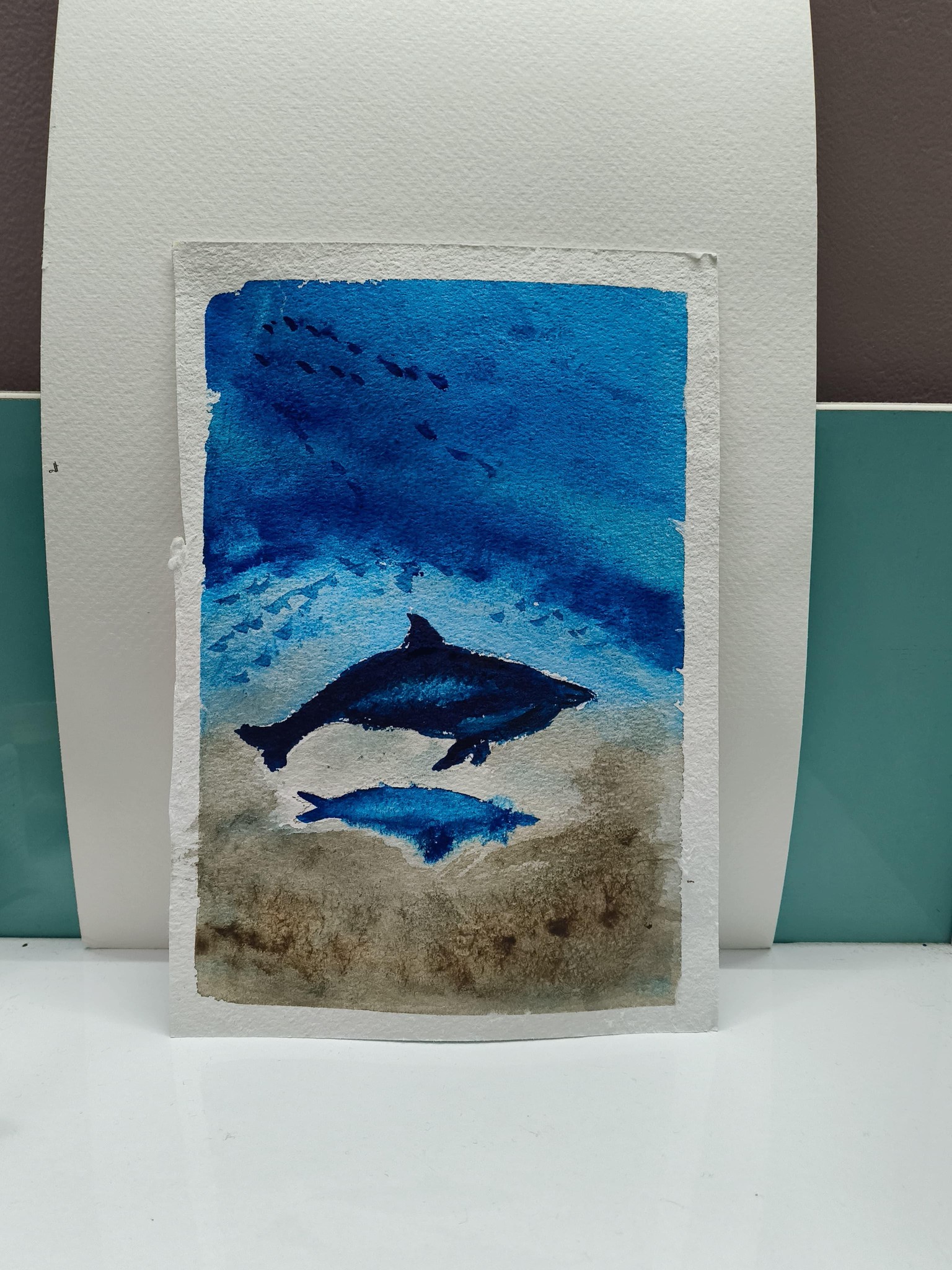 Underwater dolphin - image 2 - student project