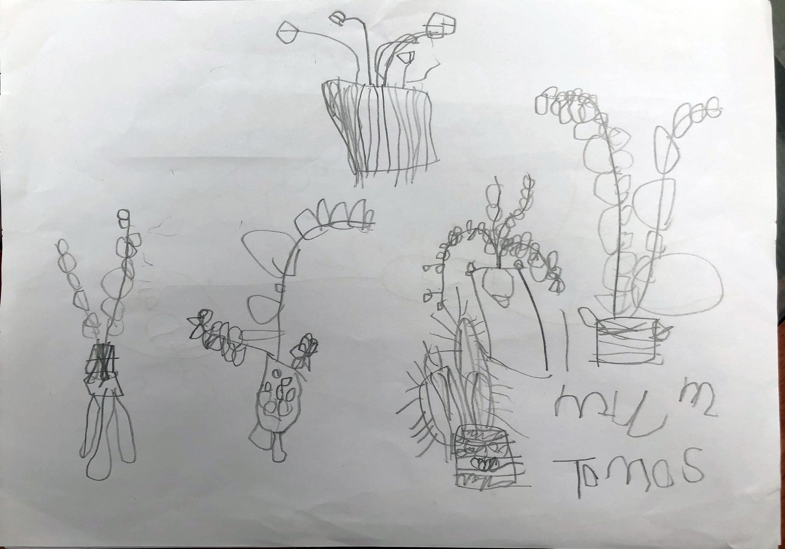 Doodle days! - image 7 - student project