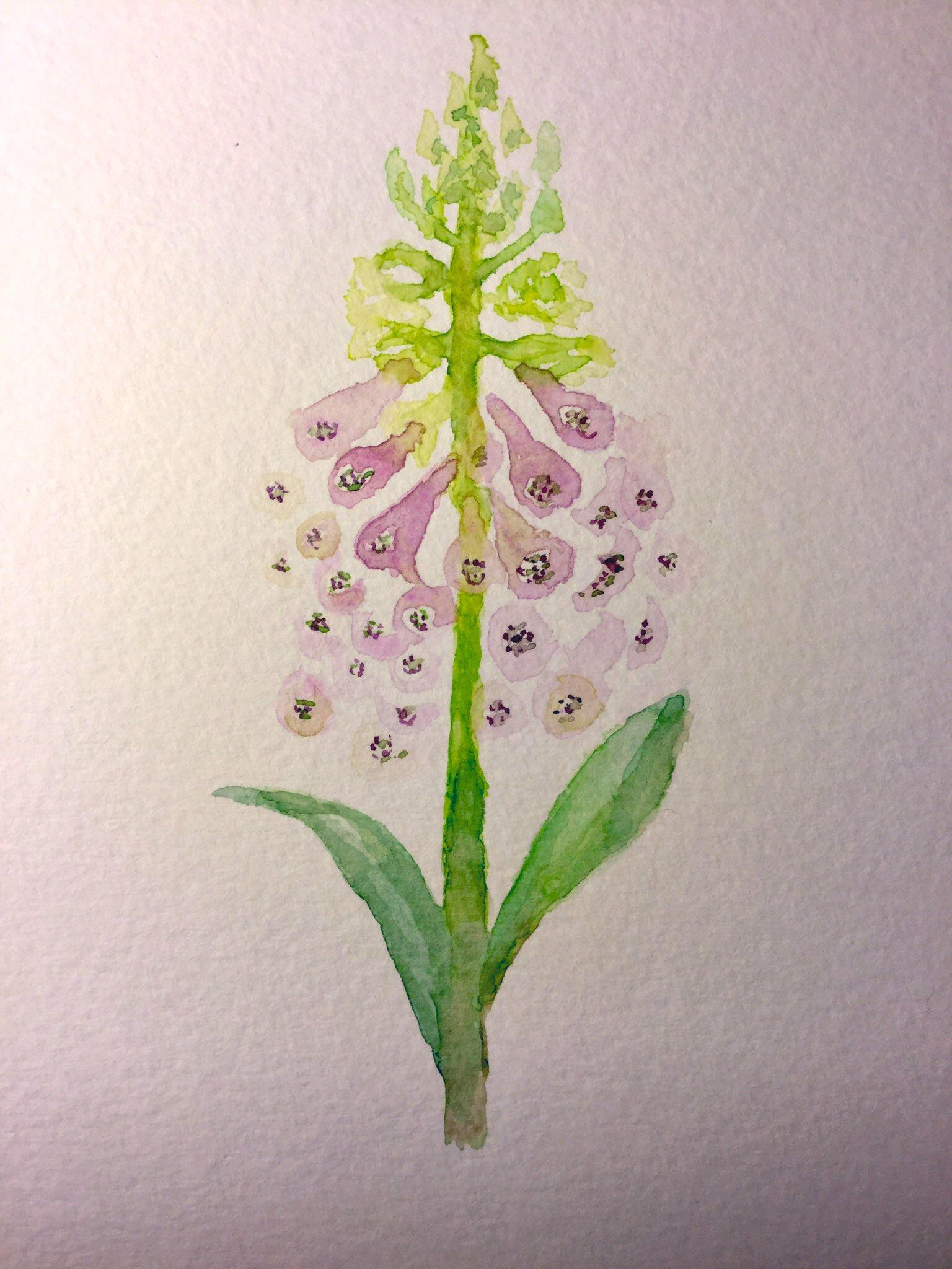 Allium and nearly every other flower from this excellent & inspirational cours - image 6 - student project