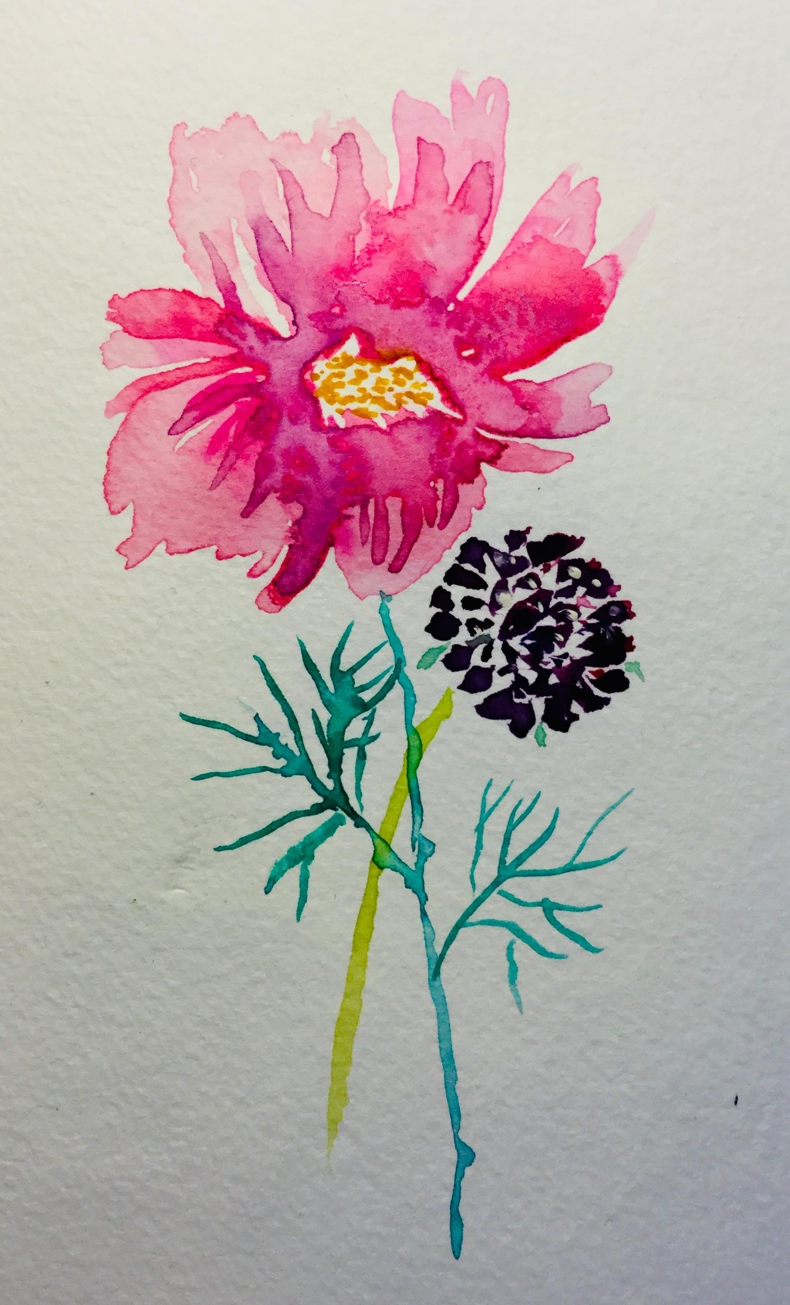 Allium and nearly every other flower from this excellent & inspirational cours - image 1 - student project