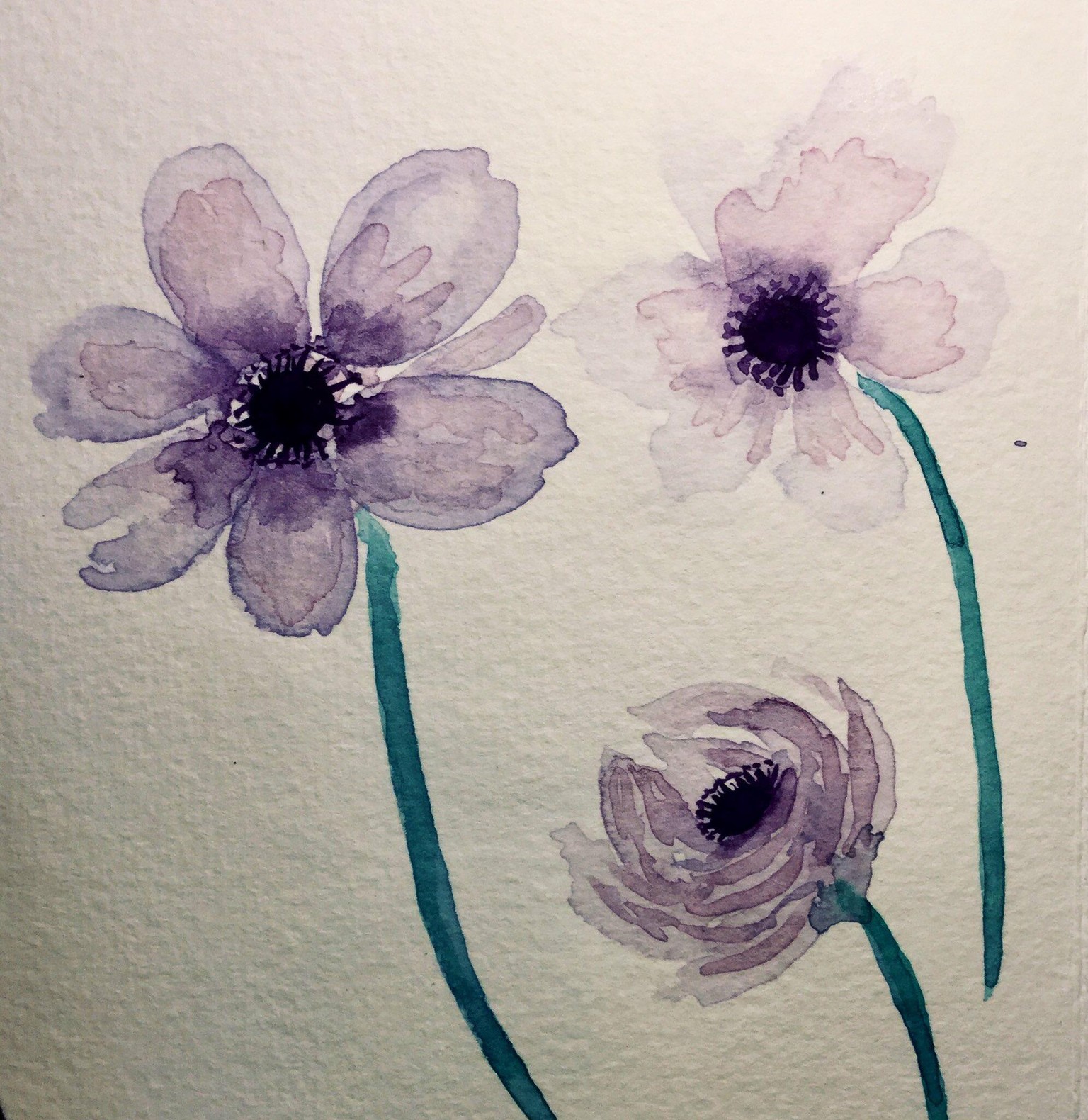 Allium and nearly every other flower from this excellent & inspirational cours - image 4 - student project