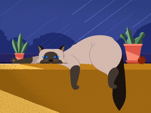 Sneaky Cat - image 1 - student project