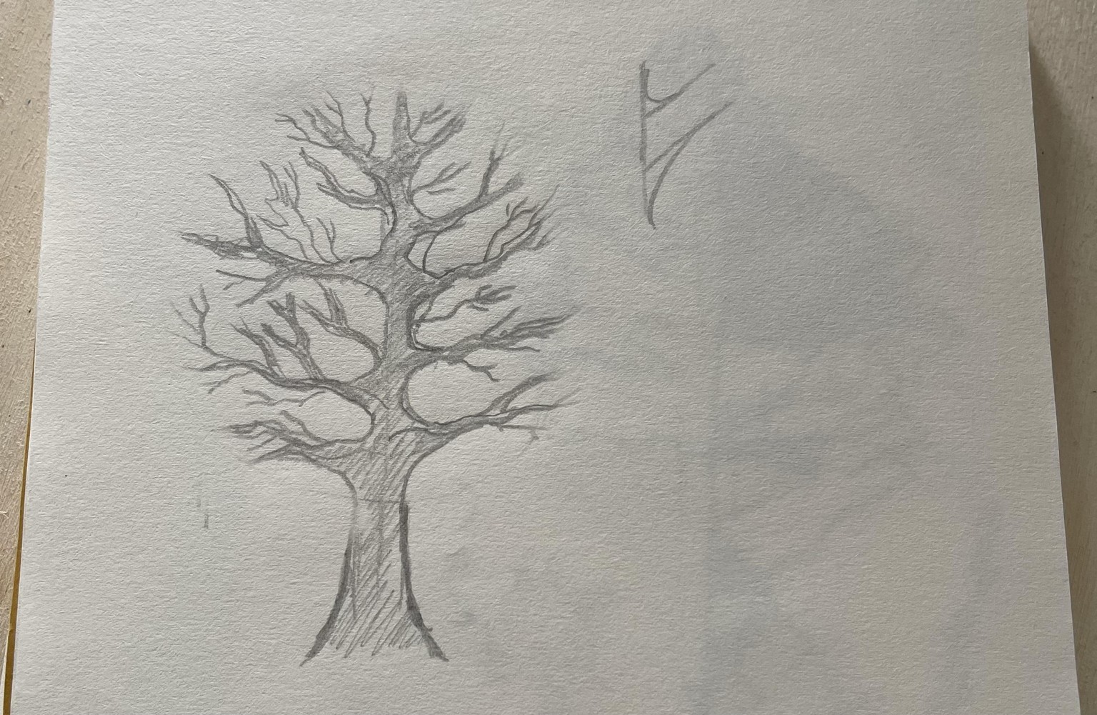 My free trees - image 5 - student project