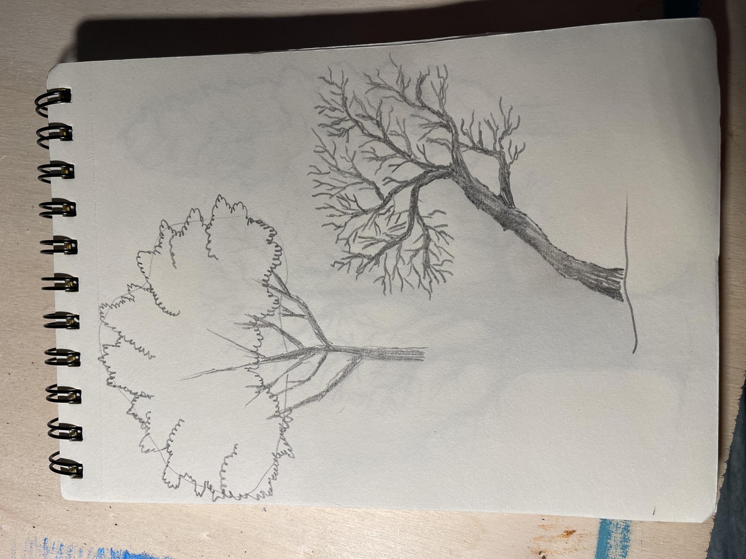 My free trees - image 2 - student project