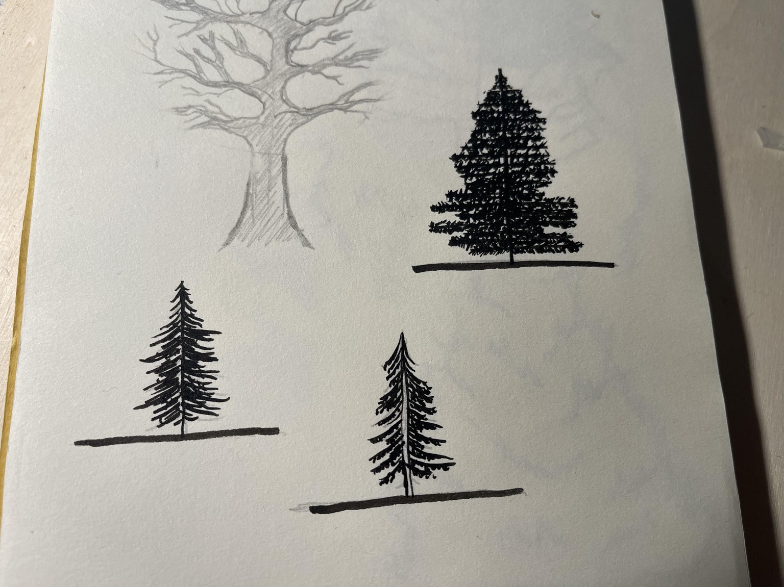 My little trees - image 2 - student project