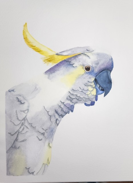 Fantasy Cockatoo - image 1 - student project
