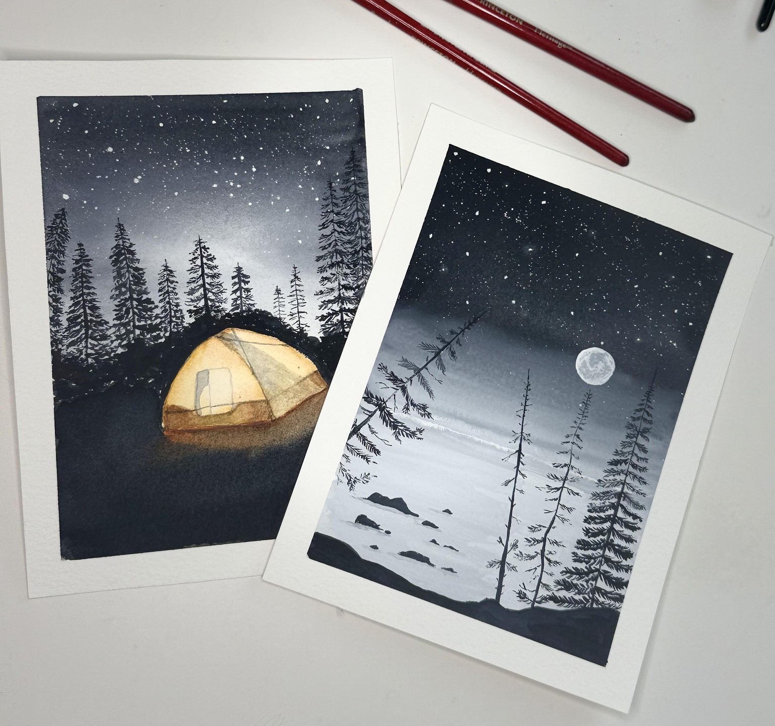 Different types of pine trees - image 1 - student project