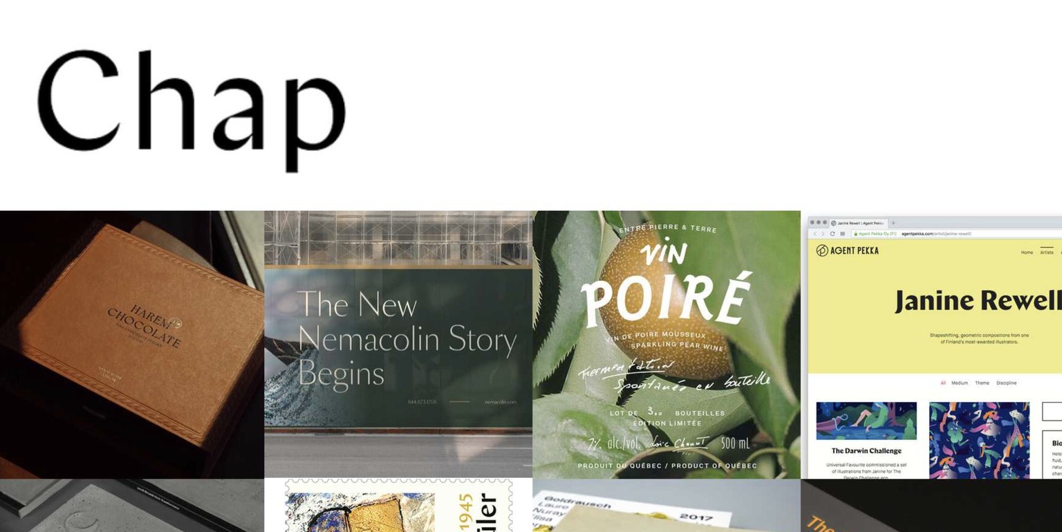 Describing Lexicon and Chap Typefaces - image 3 - student project