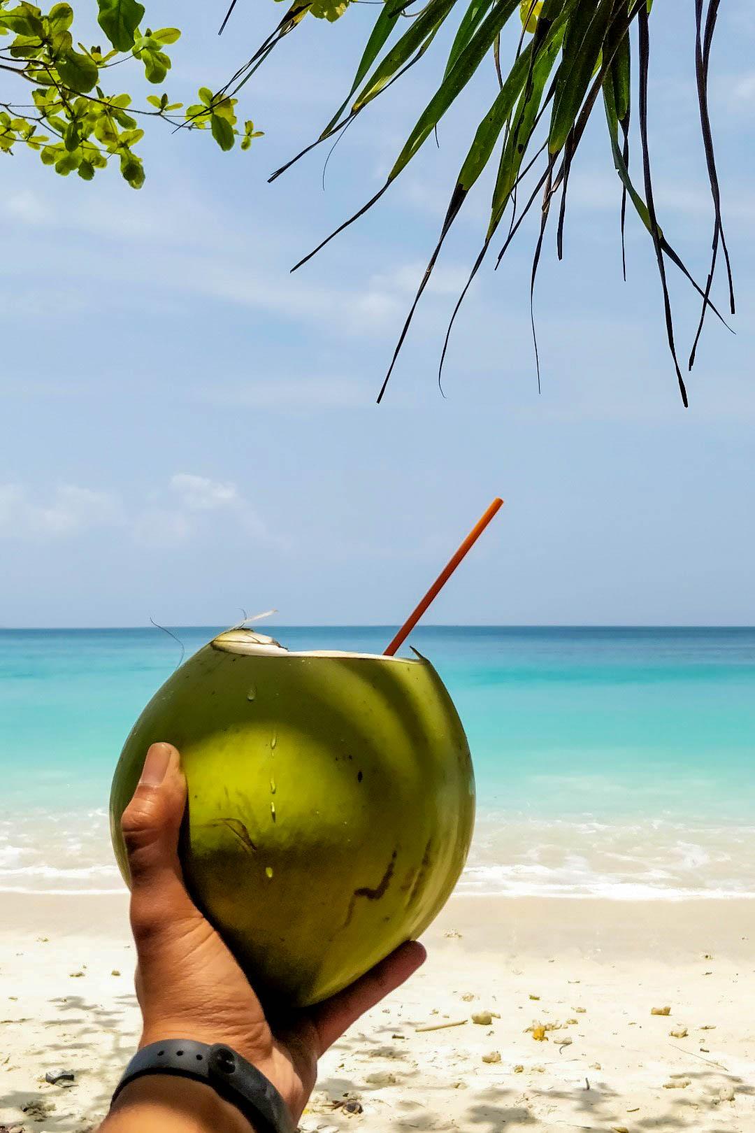 Summer vibes (Goa '19) - image 6 - student project