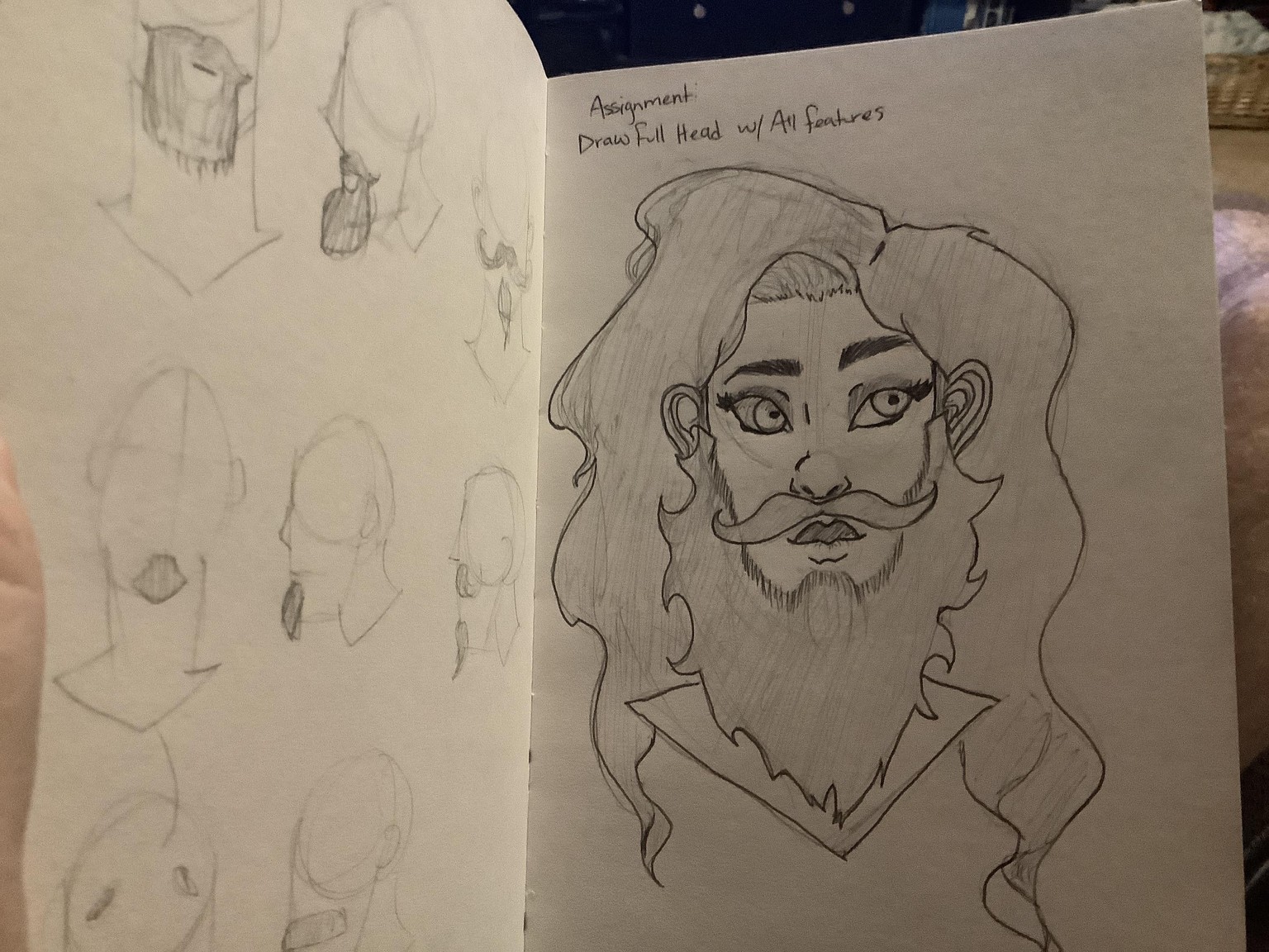Bearded Lady - image 1 - student project