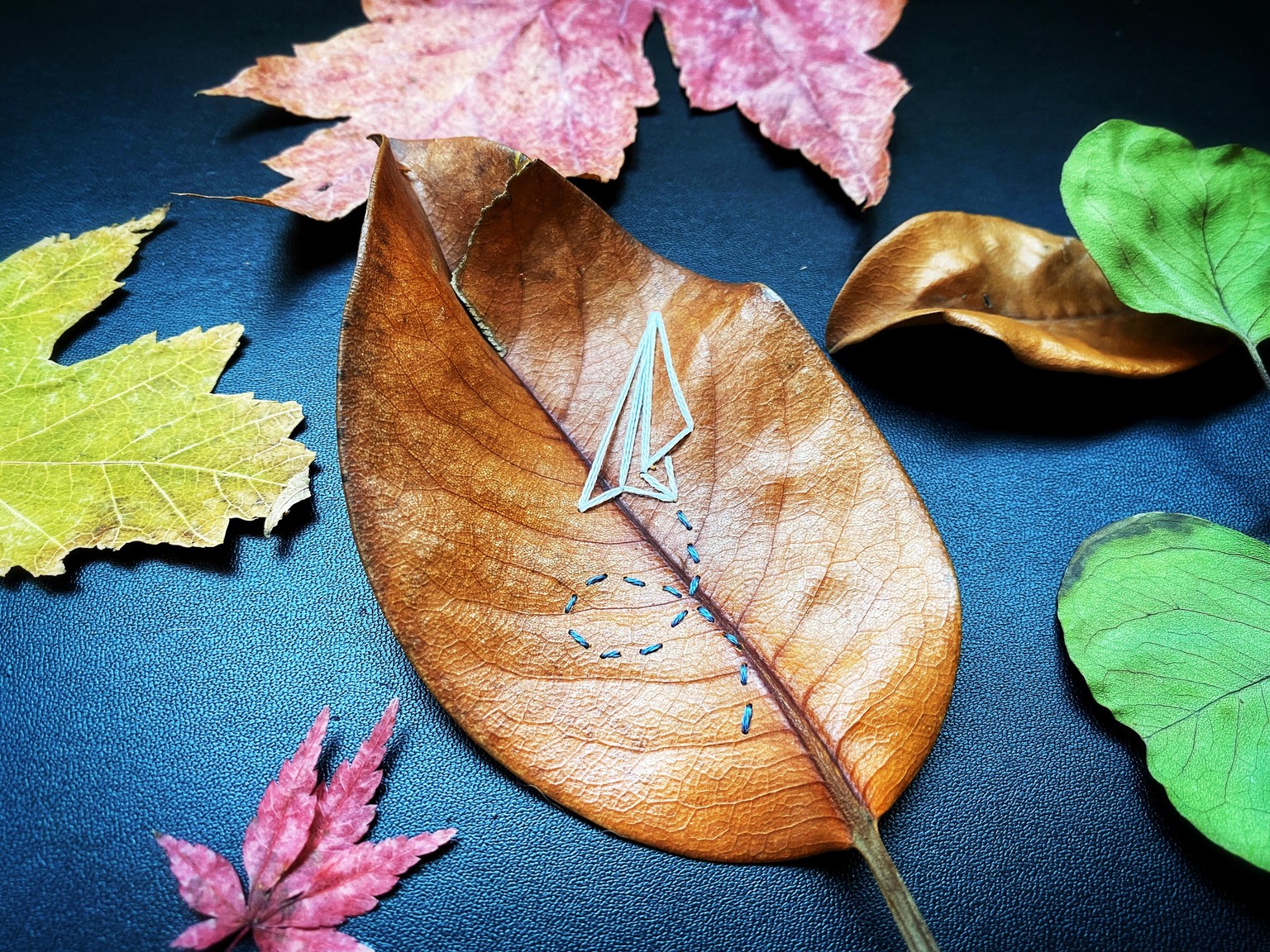 Hand Embroidery on Leaves - image 4 - student project