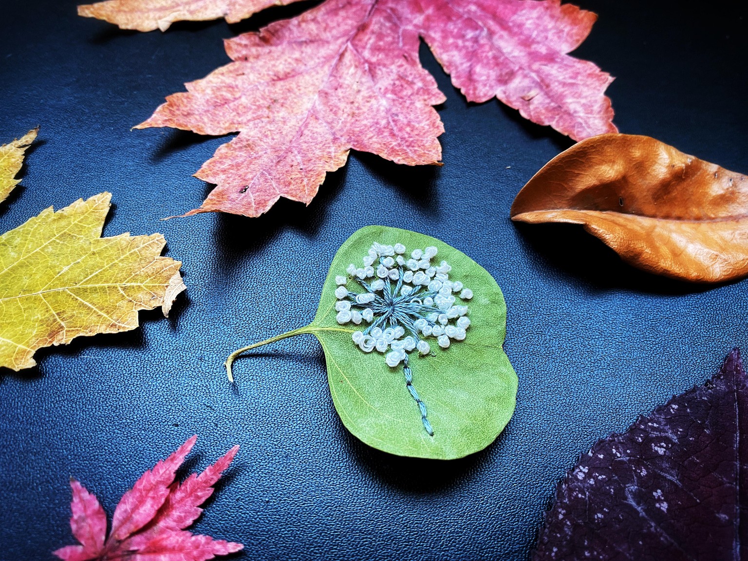 Hand Embroidery on Leaves - image 3 - student project