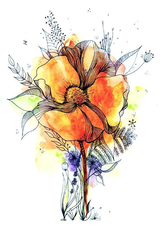 Botanical Line Drawing with water colour - image 1 - student project