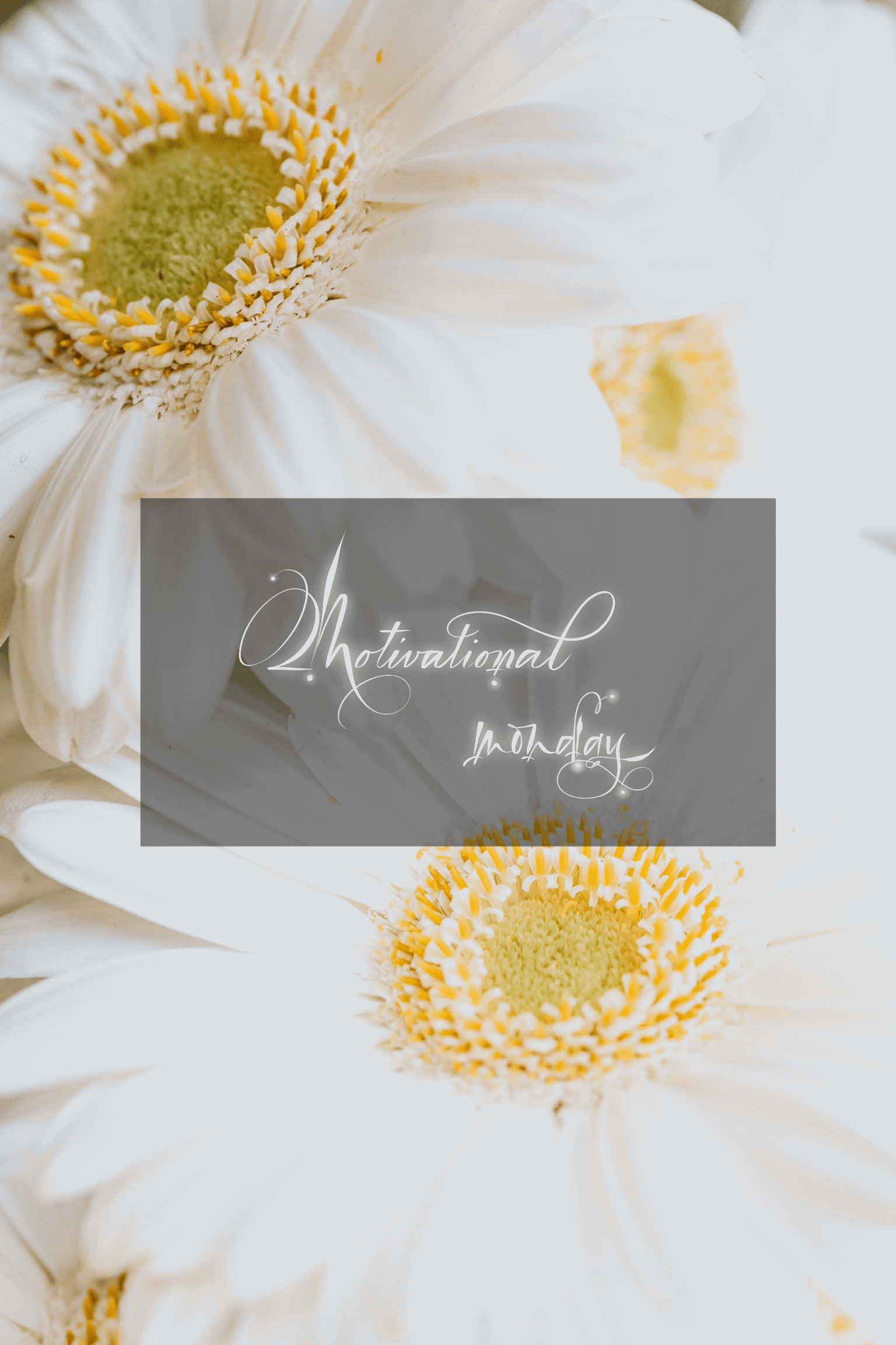 Motivating Monday - image 1 - student project