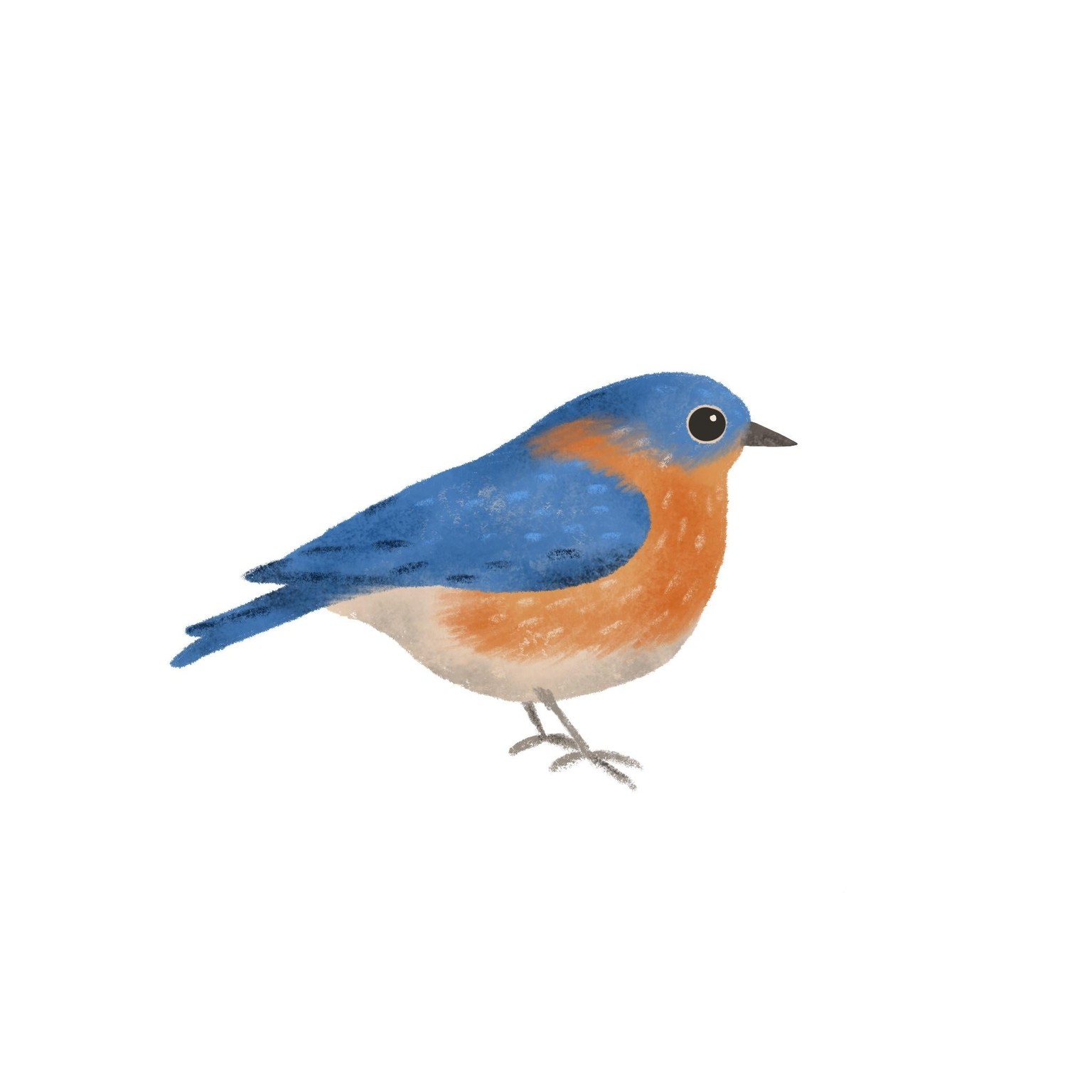 Three texturey birds! - image 1 - student project