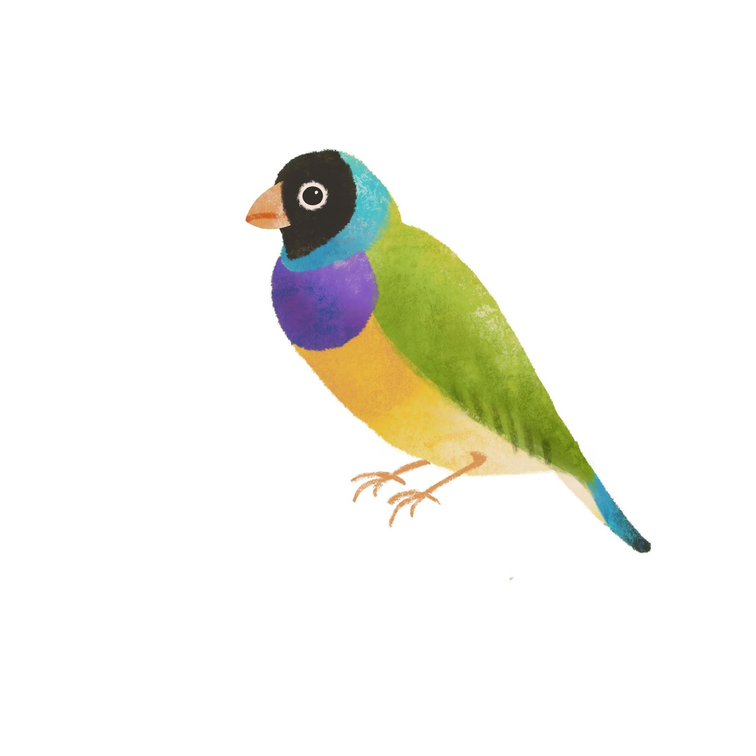 Three texturey birds! - image 2 - student project
