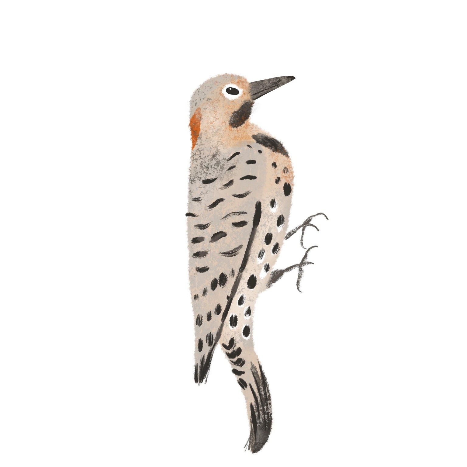 Three texturey birds! - image 3 - student project