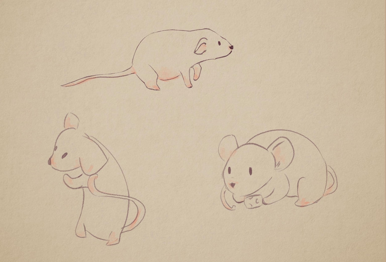 Mouse - image 1 - student project