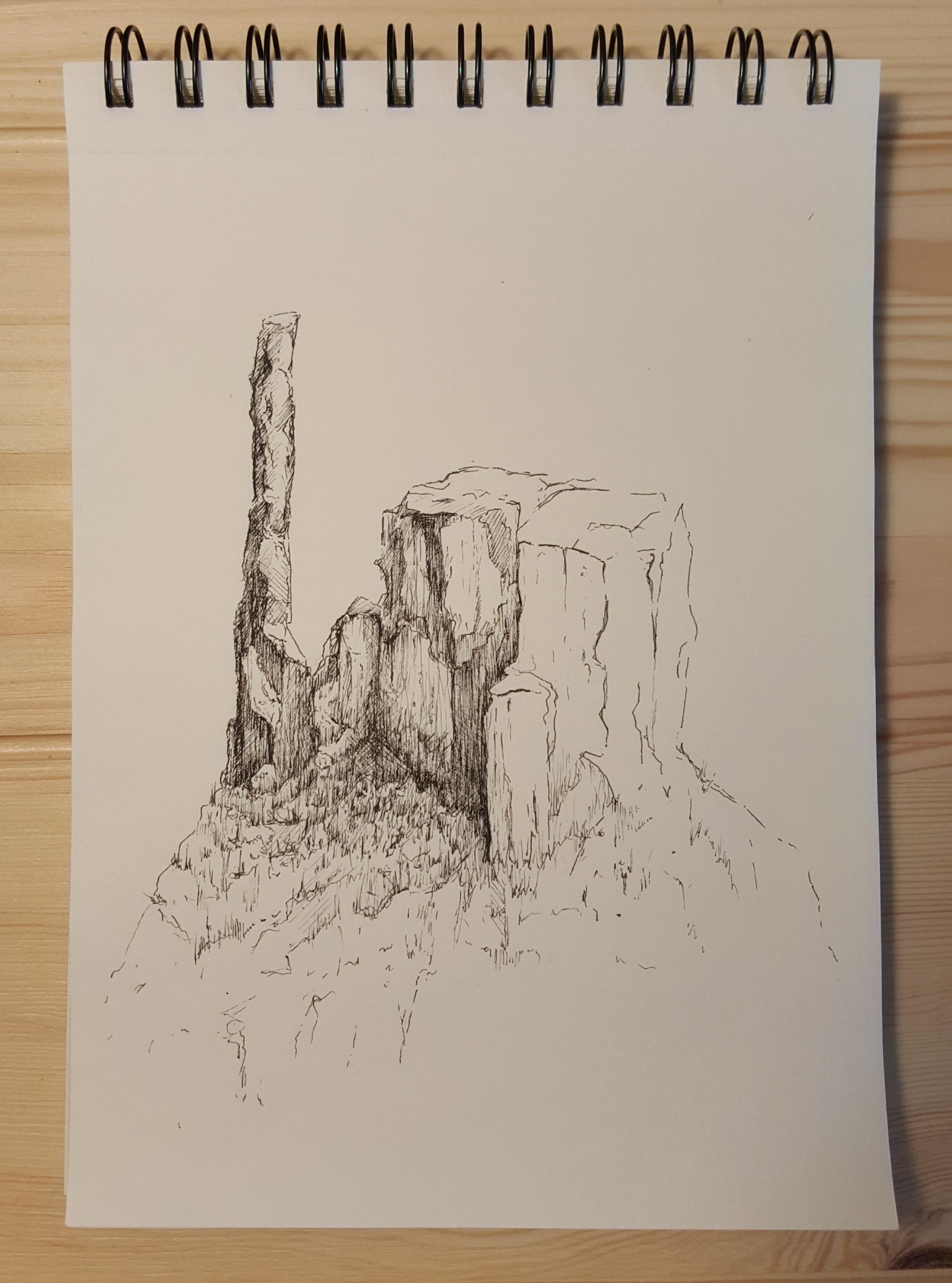 Fineliner Drawing - image 5 - student project