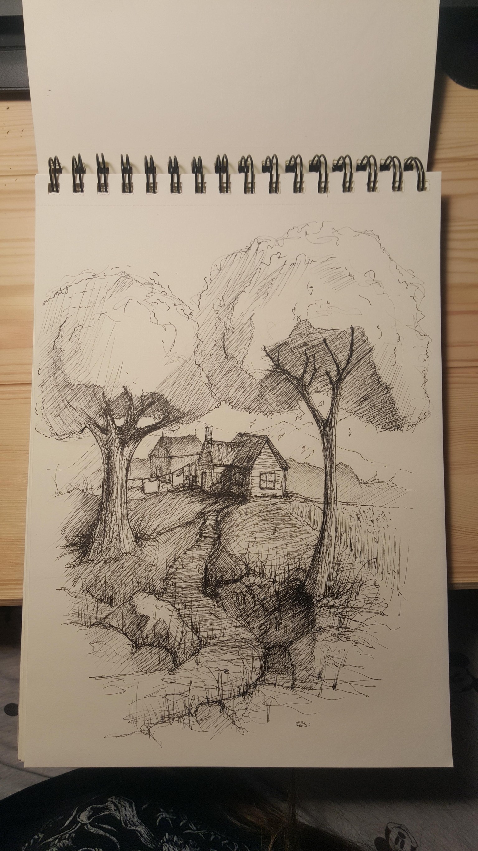 Fineliner Drawing - image 1 - student project