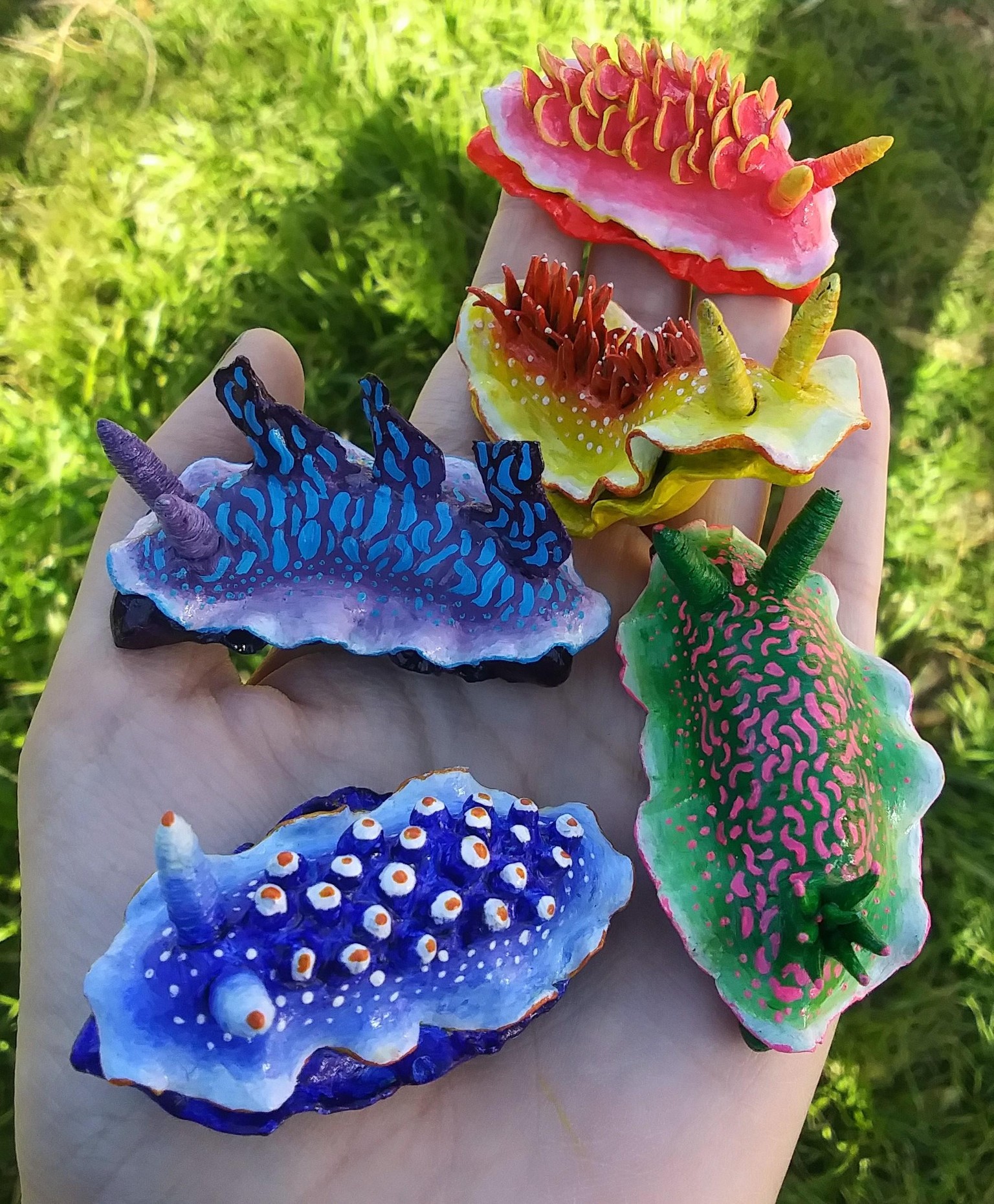 Sea slugs - image 1 - student project