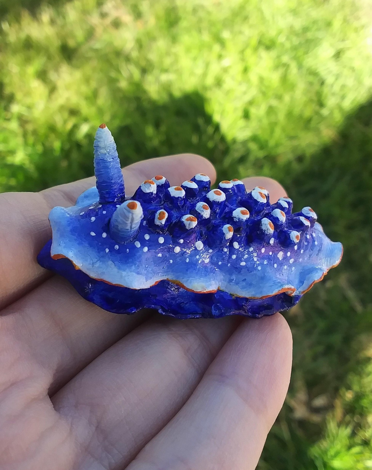 Sea slugs - image 5 - student project
