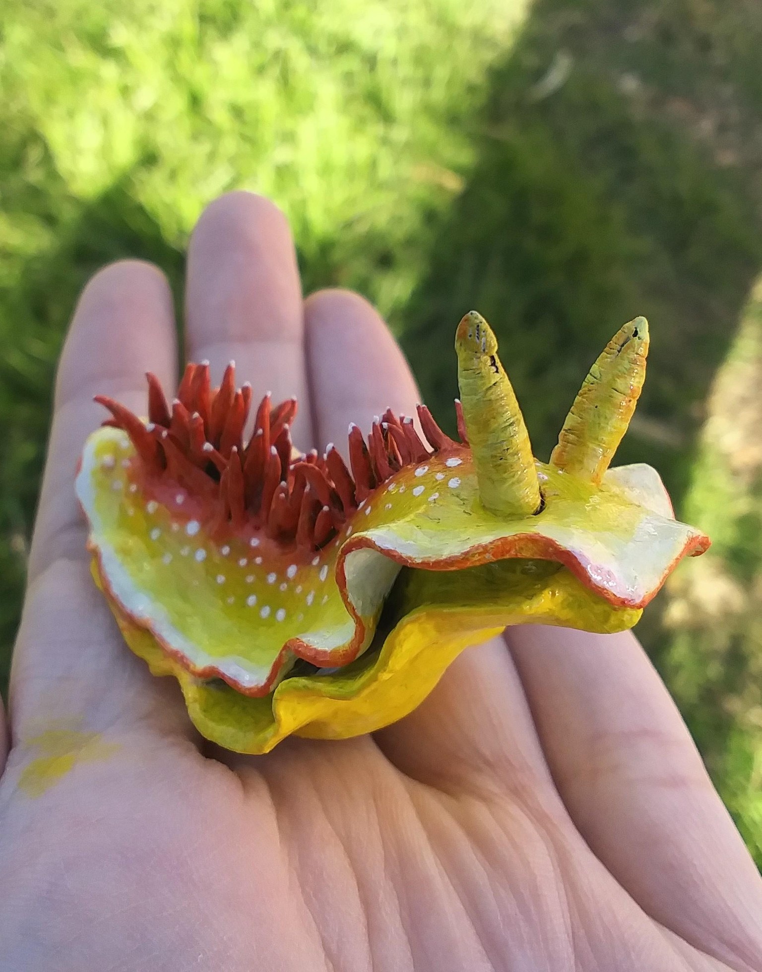 Sea slugs - image 2 - student project