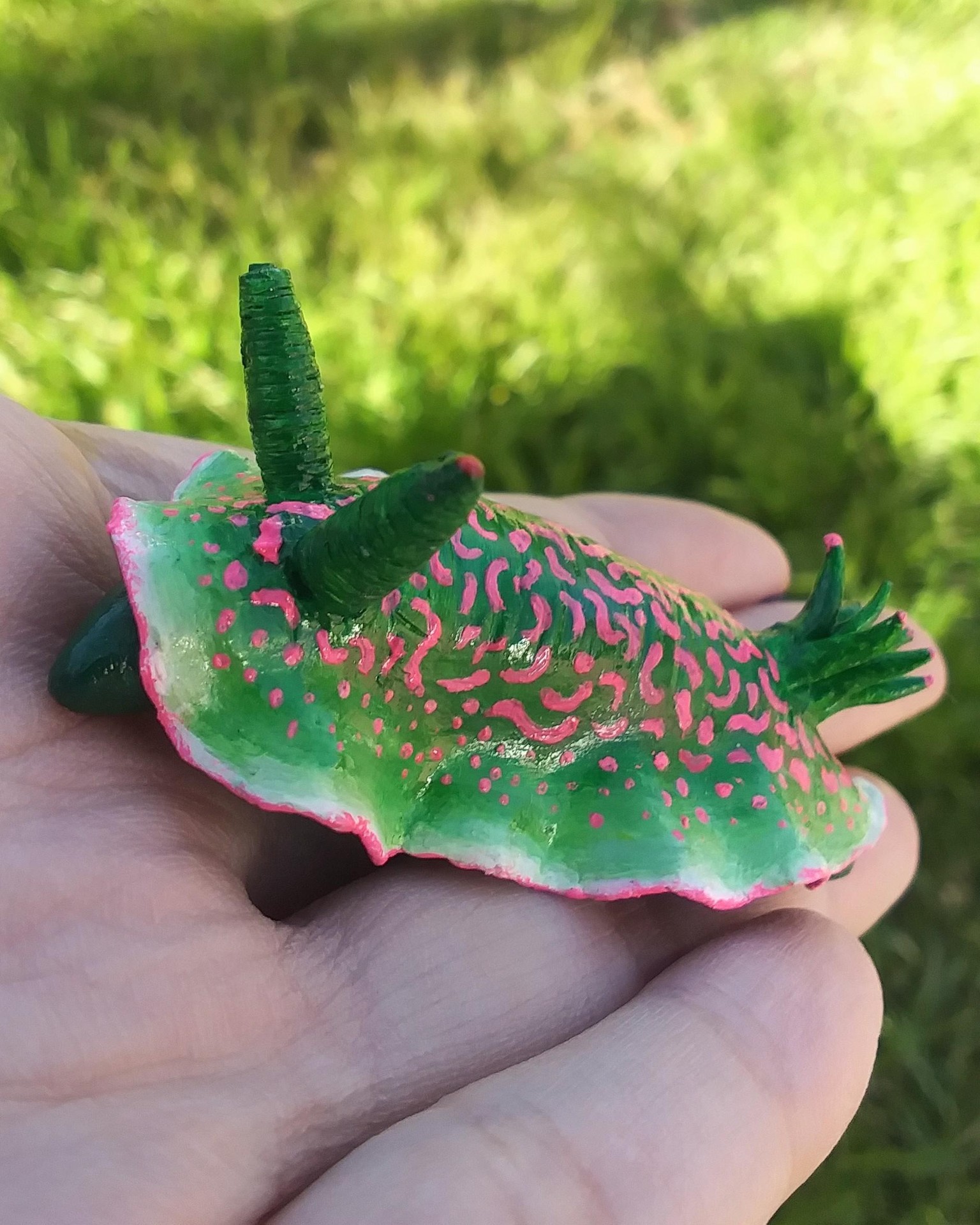 Sea slugs - image 6 - student project