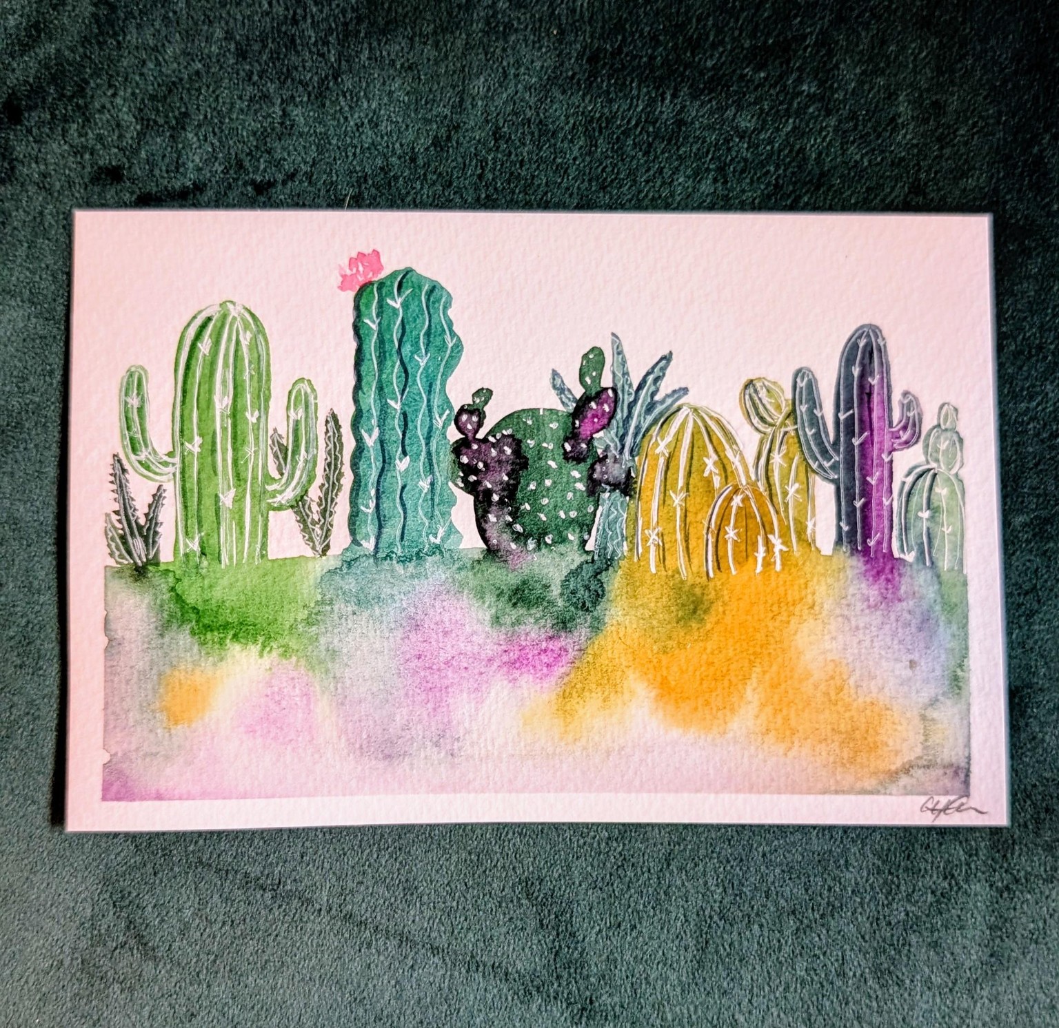 Loose watercolor cacti and succulents - image 1 - student project