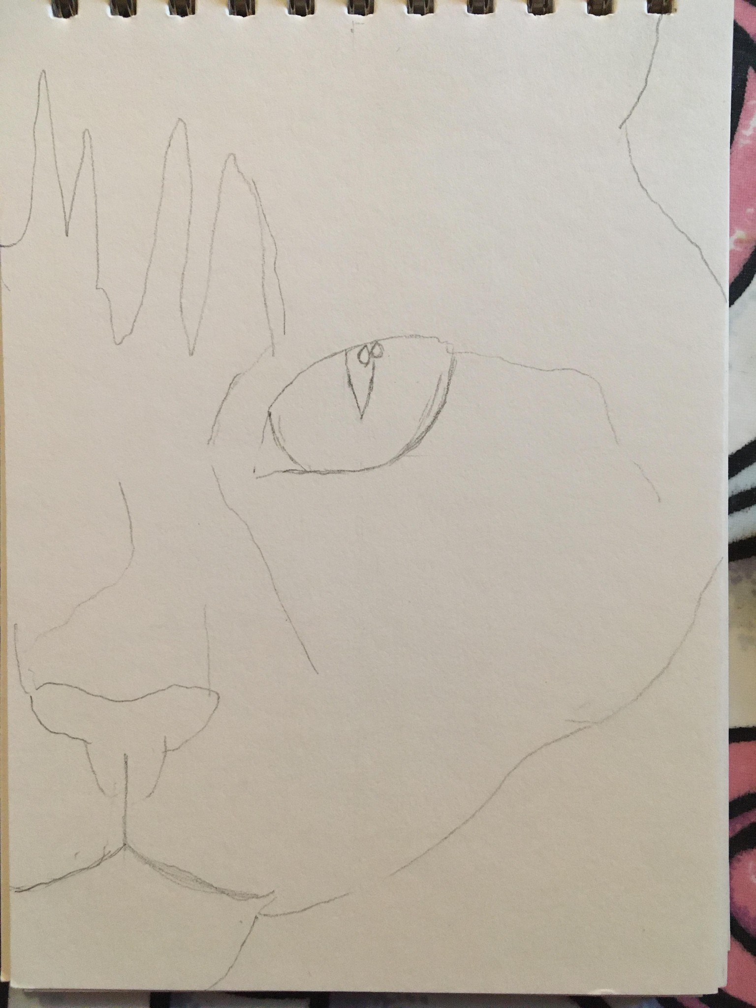 Kitten - image 1 - student project