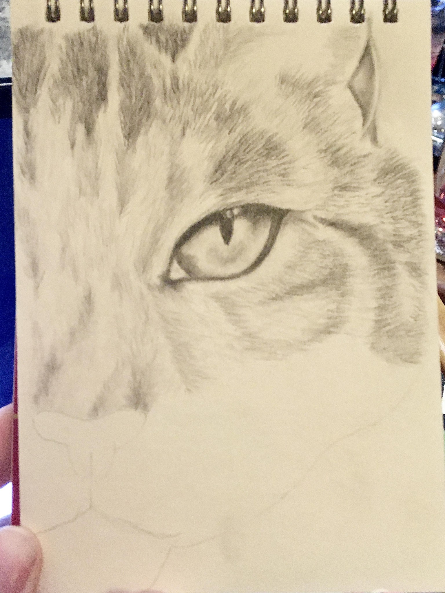 Kitten - image 3 - student project