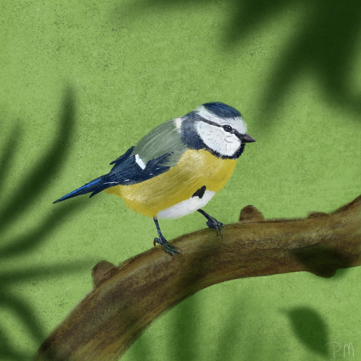 Birds - image 1 - student project