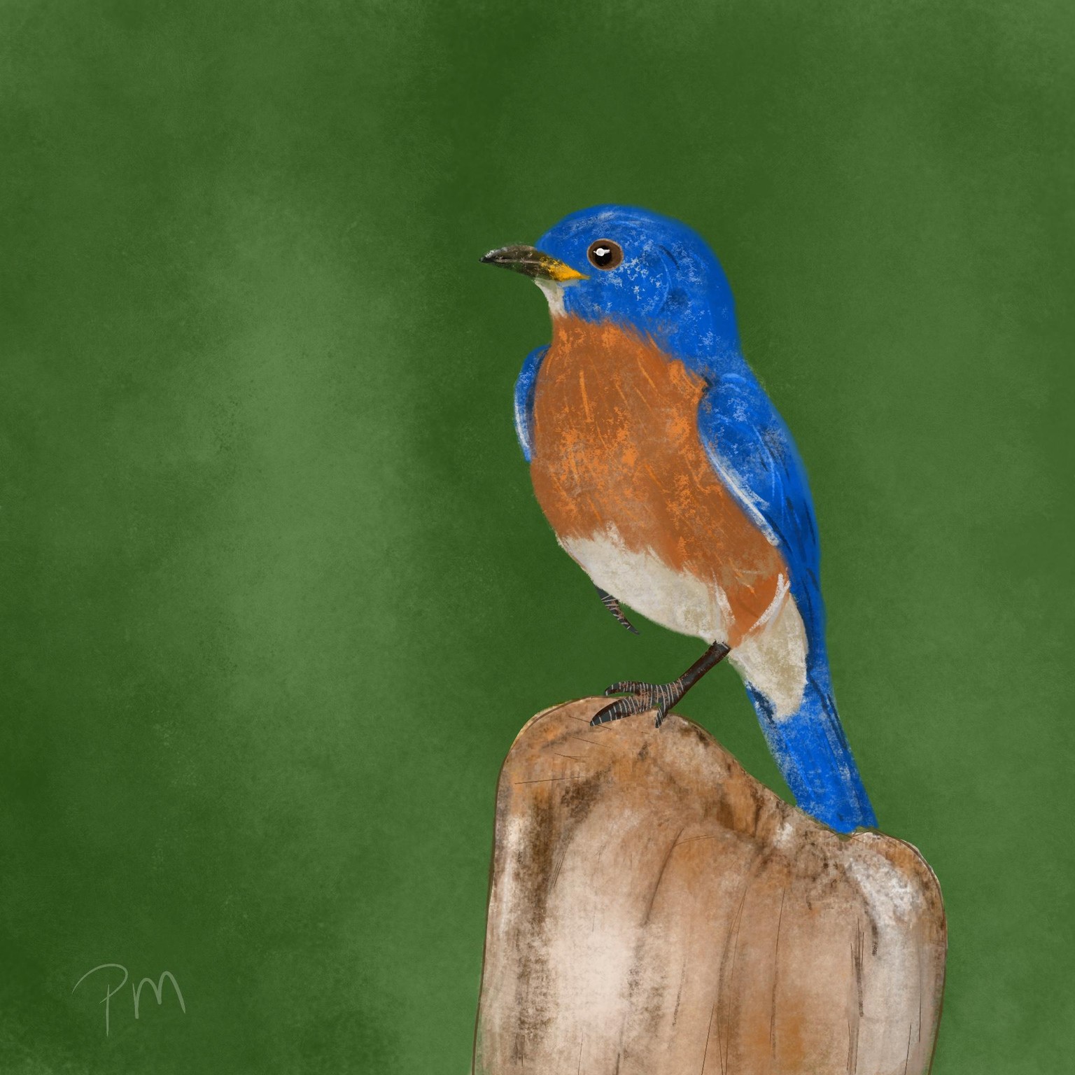 Birds - image 2 - student project