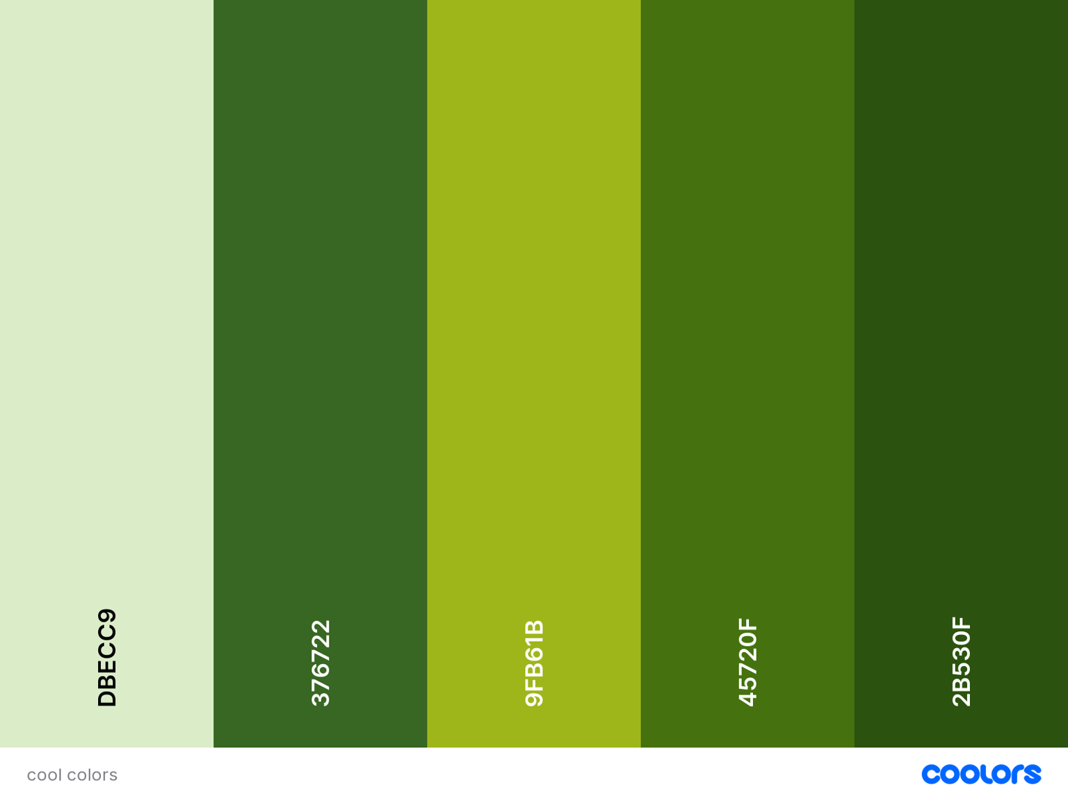 Color palettes - image 1 - student project