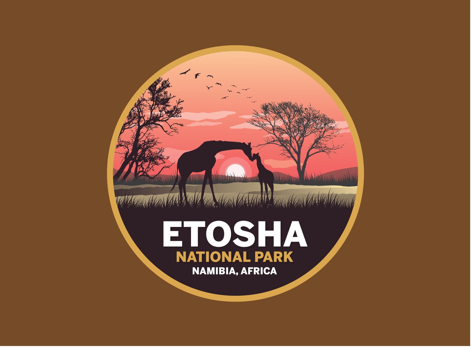 Etosha National Park - image 1 - student project