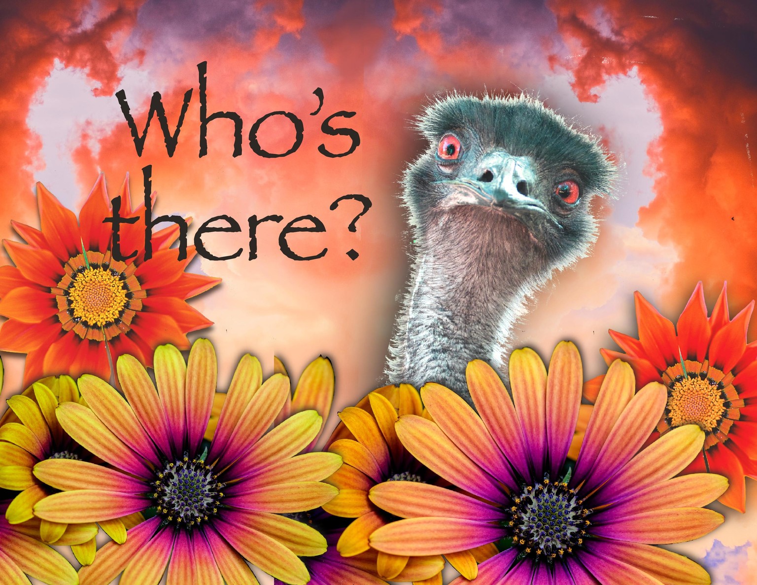 Who’s there? - image 1 - student project