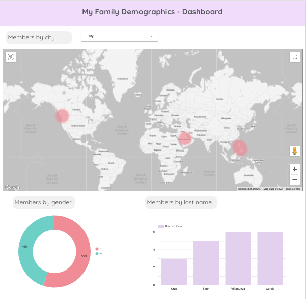 My First Google Looker Studio Dashboard - image 2 - student project