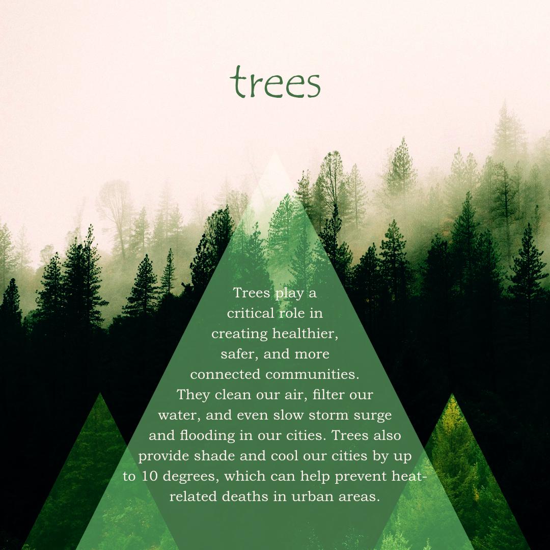Affinity Publisher Projects - image 4 - student project