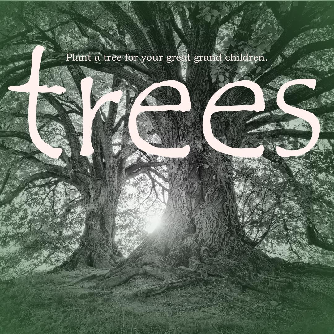 Affinity Publisher Projects - image 5 - student project