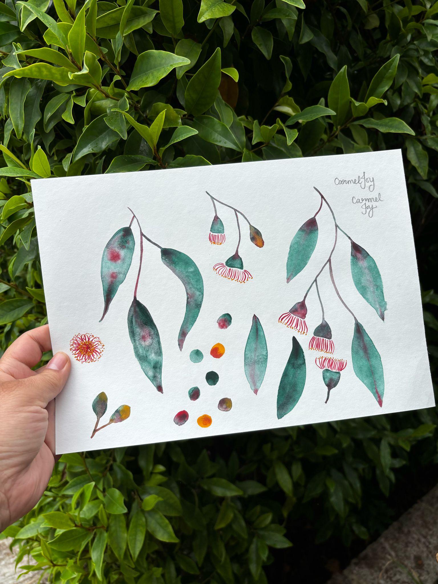 Watercolour gum blossoms - image 1 - student project