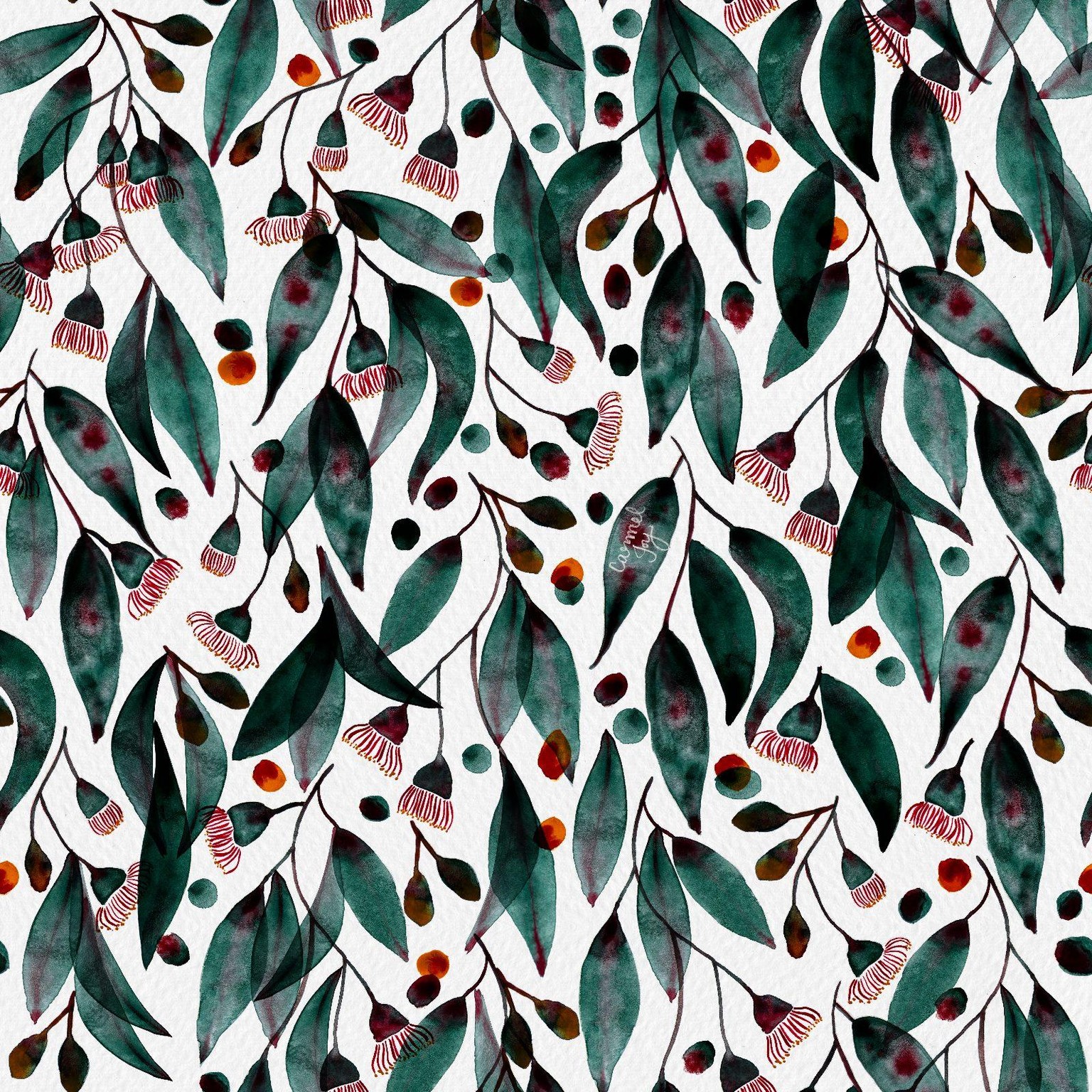 Watercolour gum blossoms - image 2 - student project