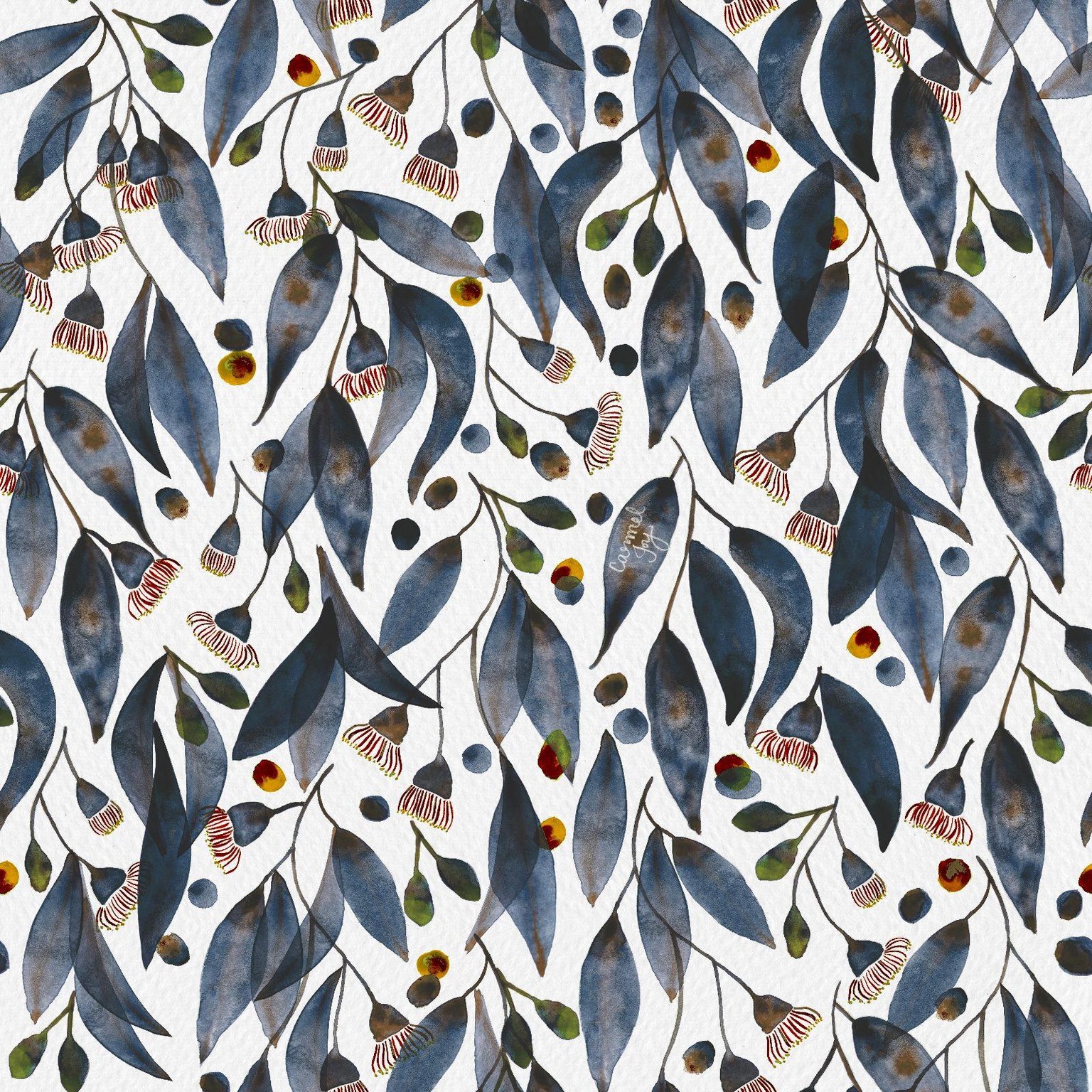 Watercolour gum blossoms - image 3 - student project