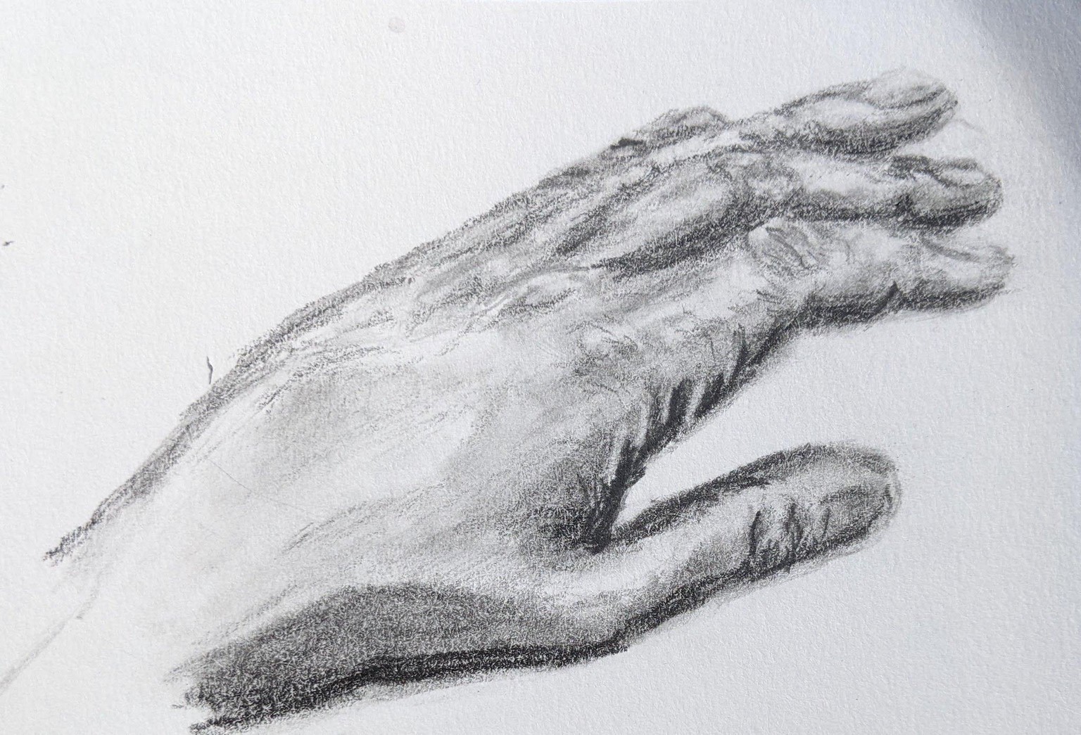 Hand drawing practice - image 1 - student project