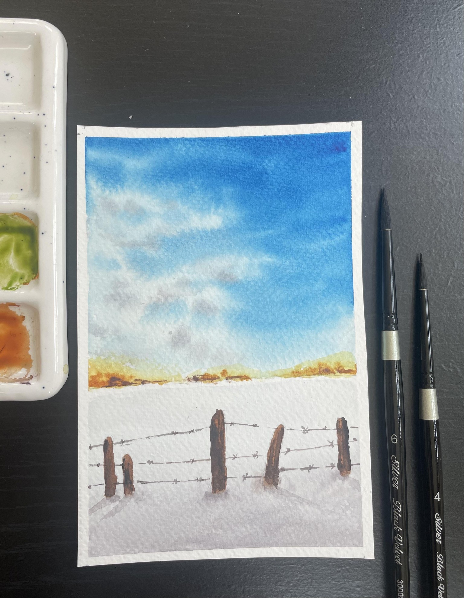 Mini Landscapes - 100 Day Challenge with Geethu - image 14 - student project