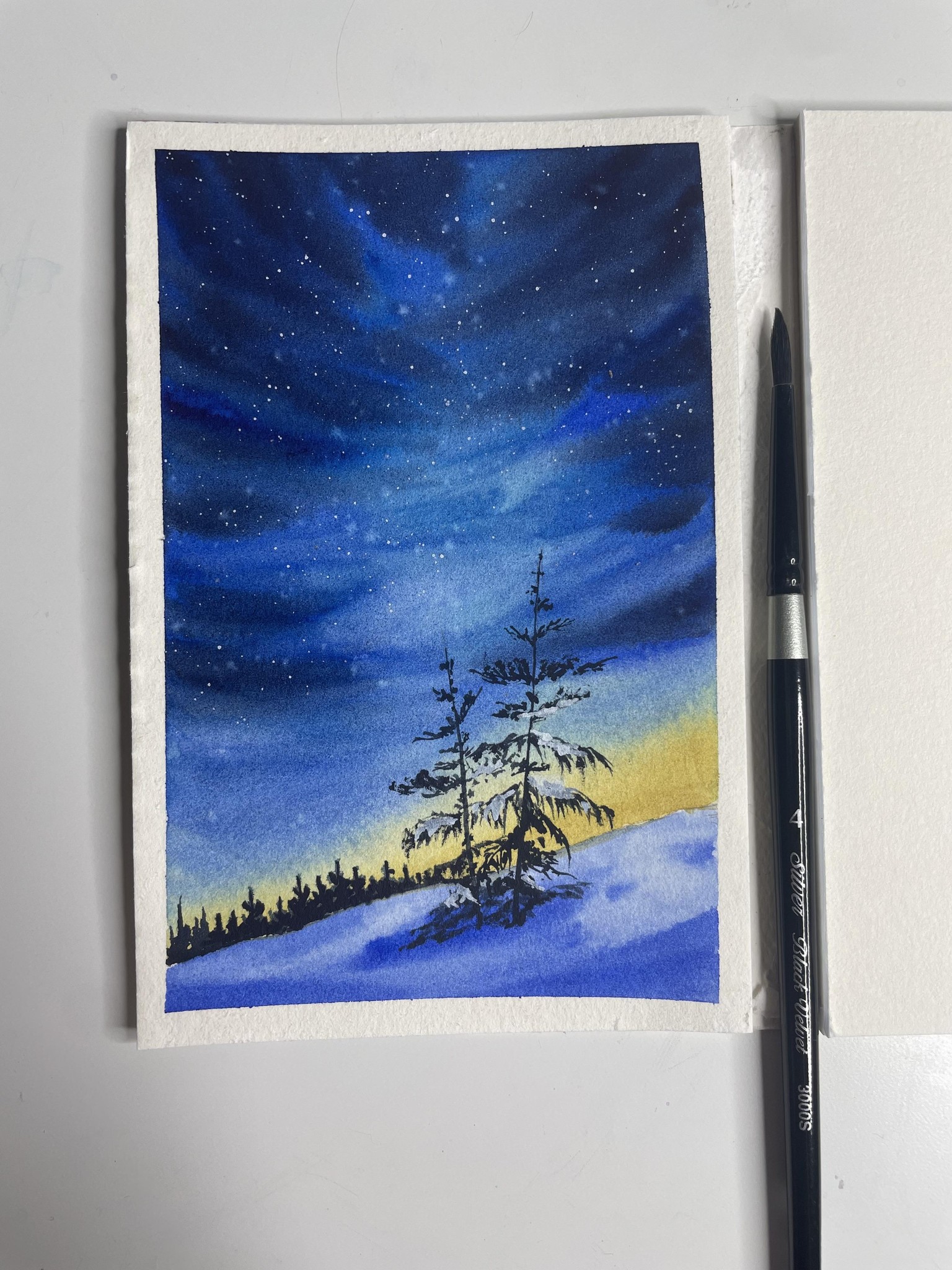 Mini Landscapes - 100 Day Challenge with Geethu - image 16 - student project